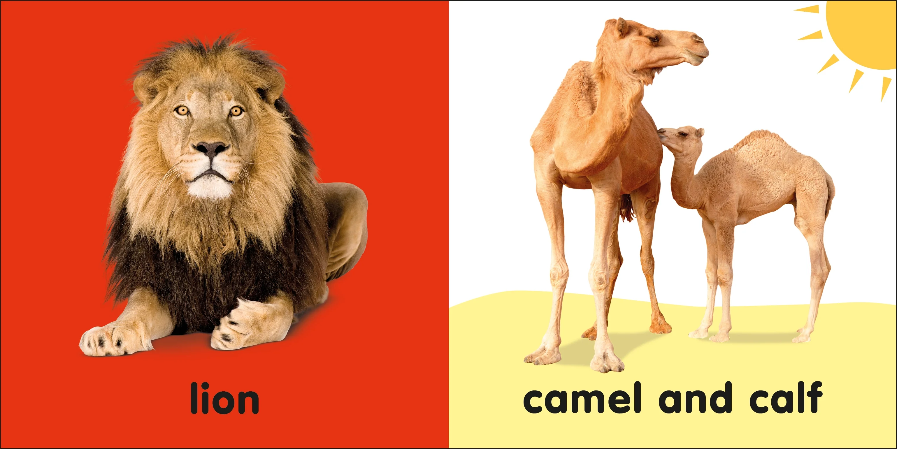 Baby Touch and Feel Bible Animals - Image 3