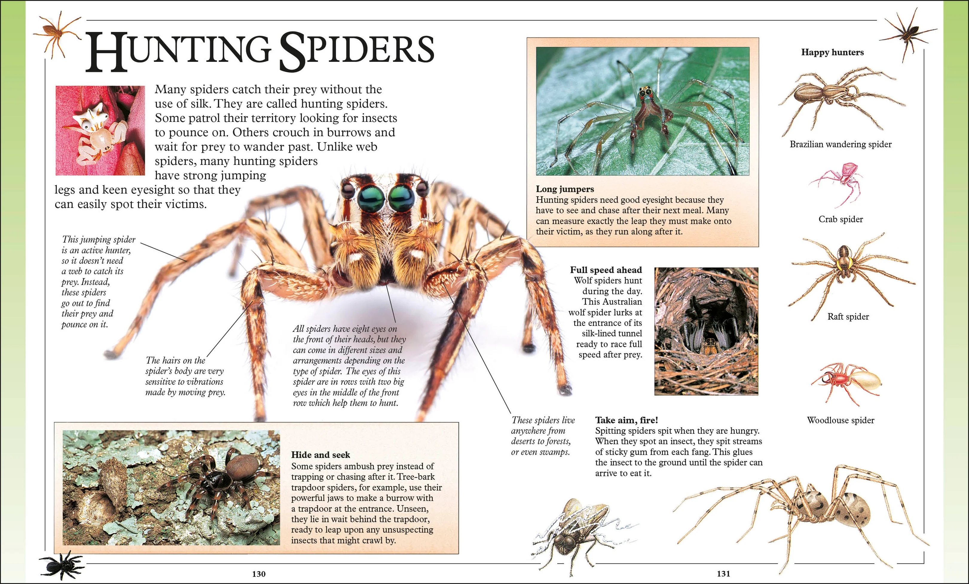 Big Book of Knowledge - Image 3