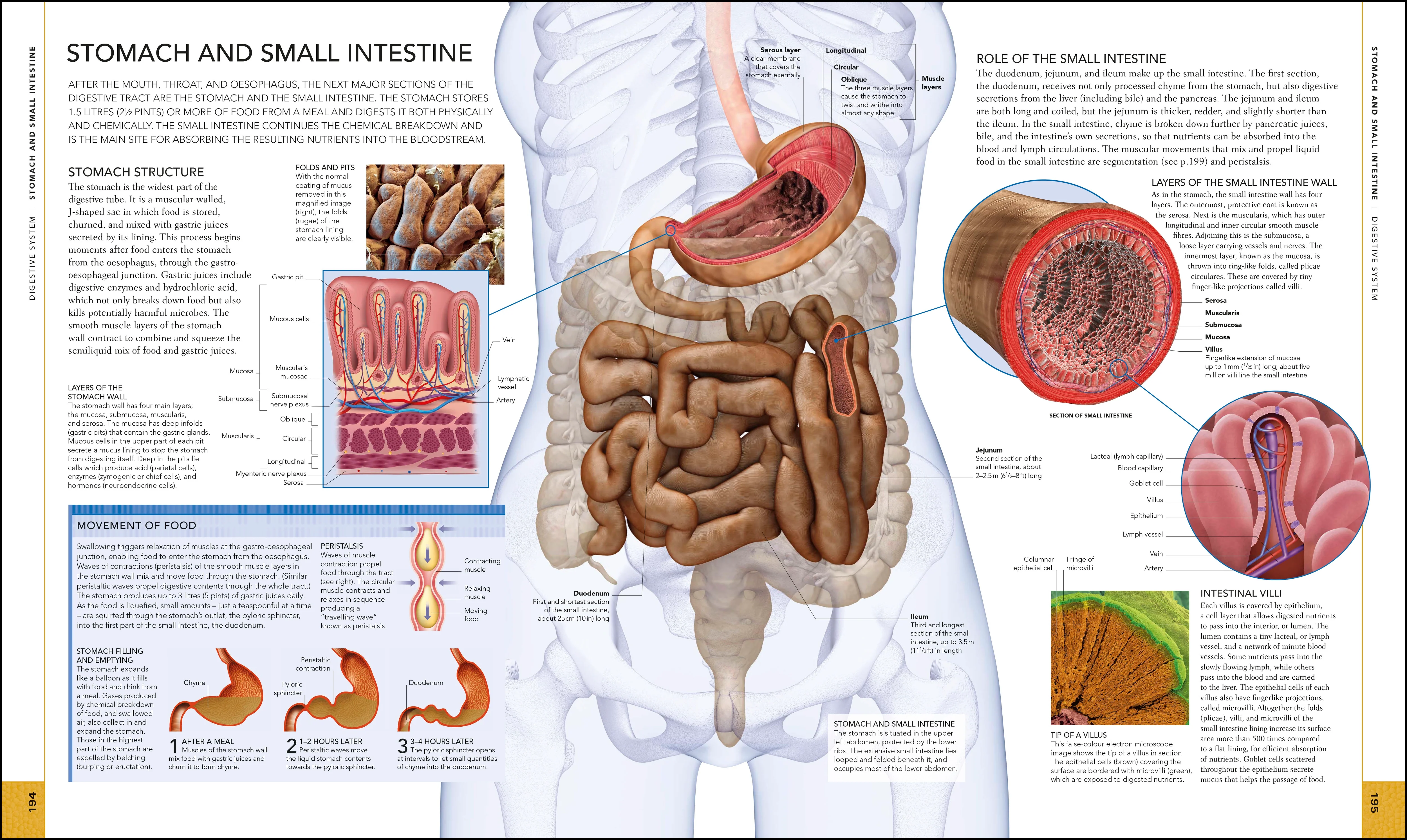 The Human Body Book - Image 6
