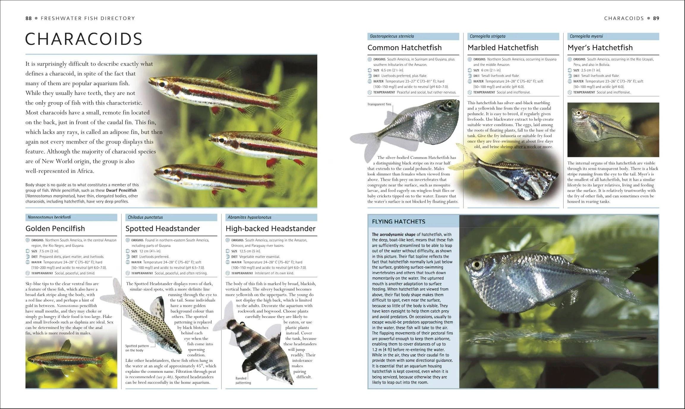 Encyclopedia of Aquarium and Pond Fish - Image 3