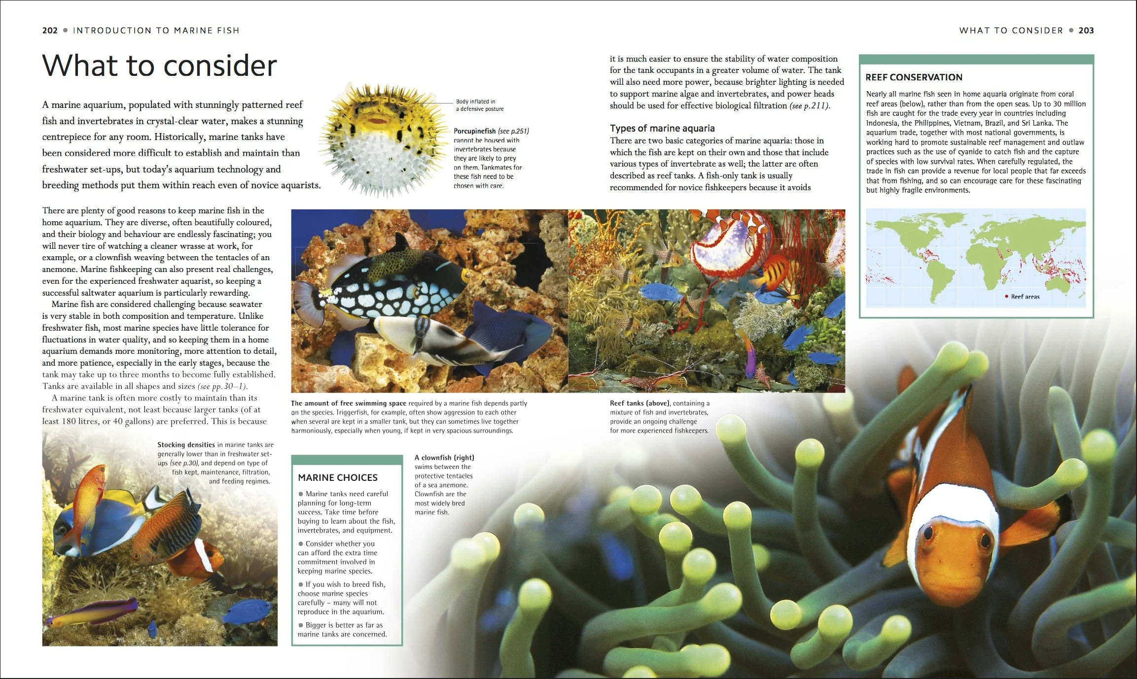 Encyclopedia of Aquarium and Pond Fish - Image 4