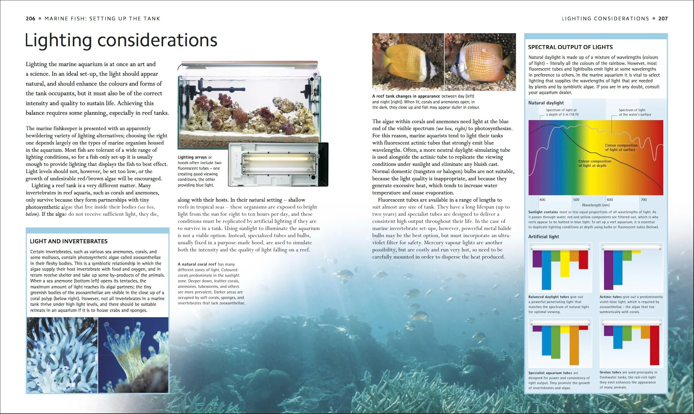 Encyclopedia of Aquarium and Pond Fish - Image 5