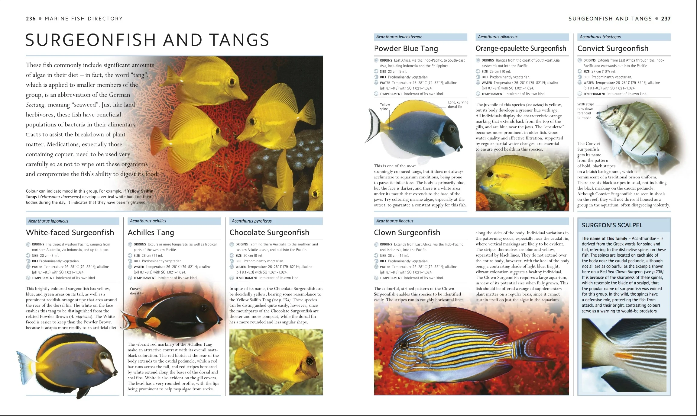 Encyclopedia of Aquarium and Pond Fish - Image 7