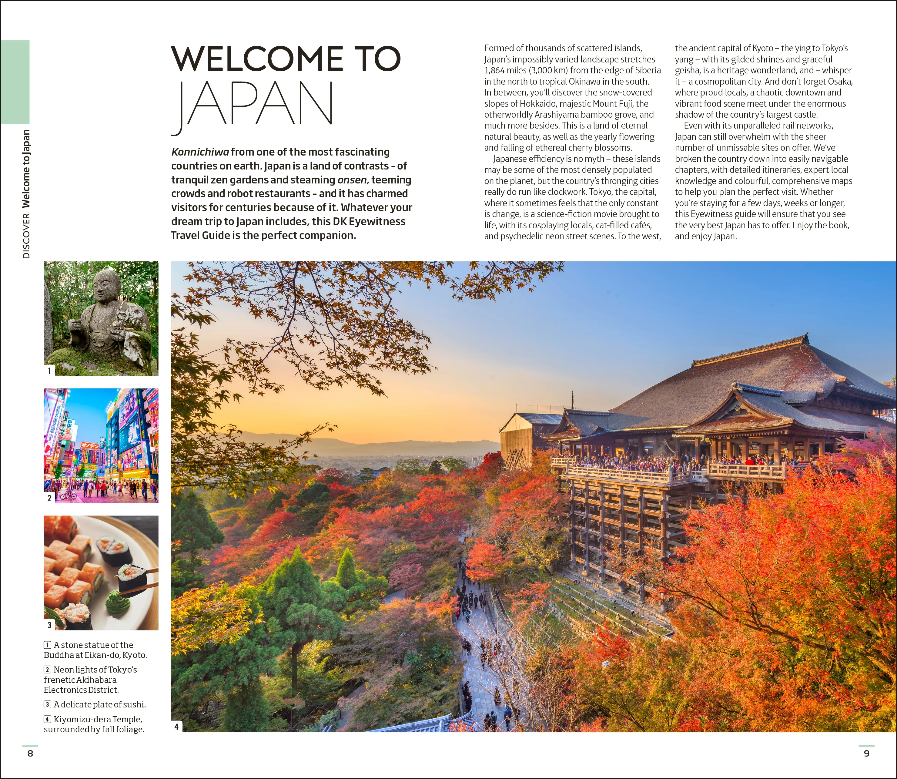 DK Japan - Image 3