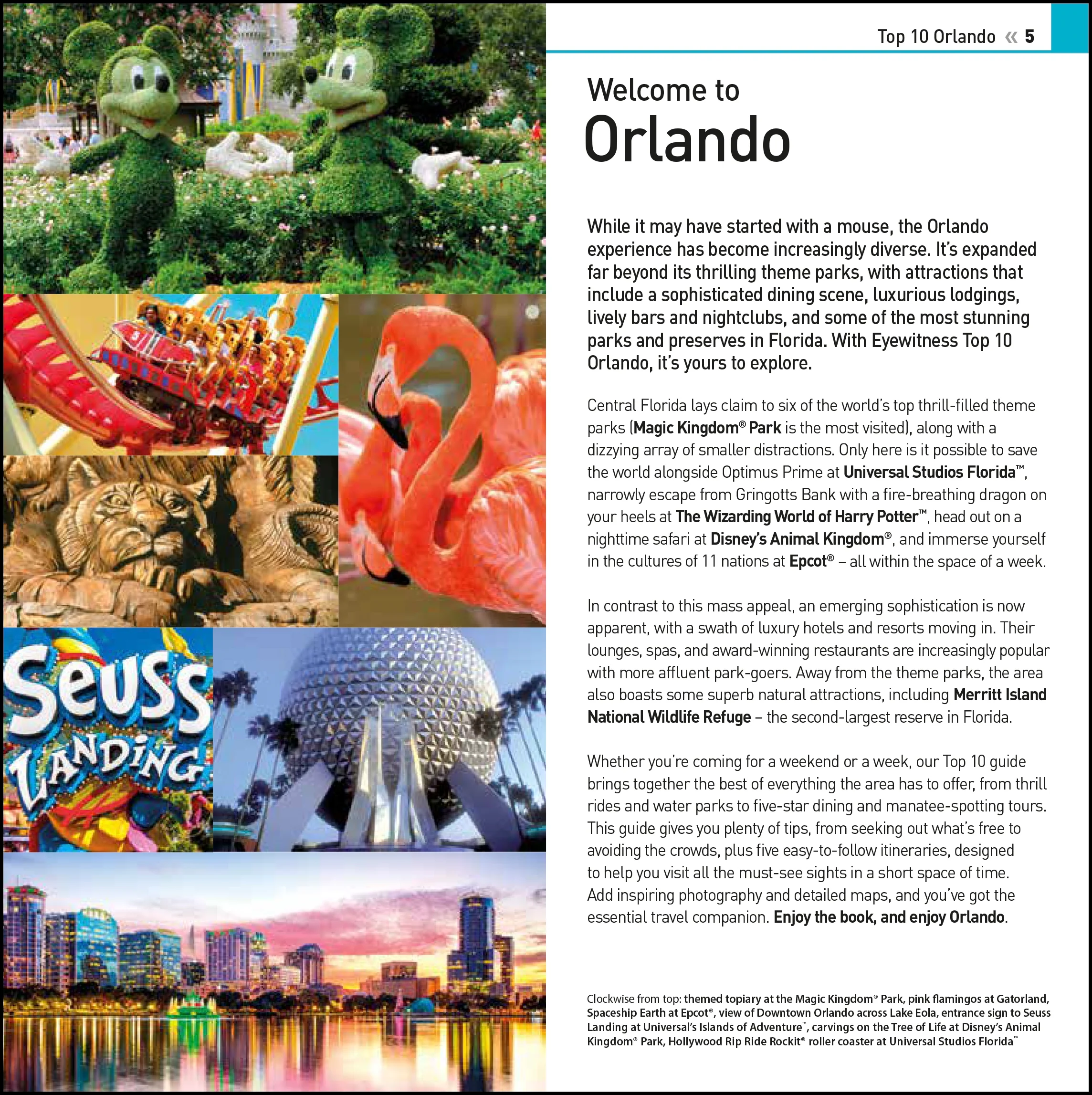 DK Top 10 Orlando - Image 2