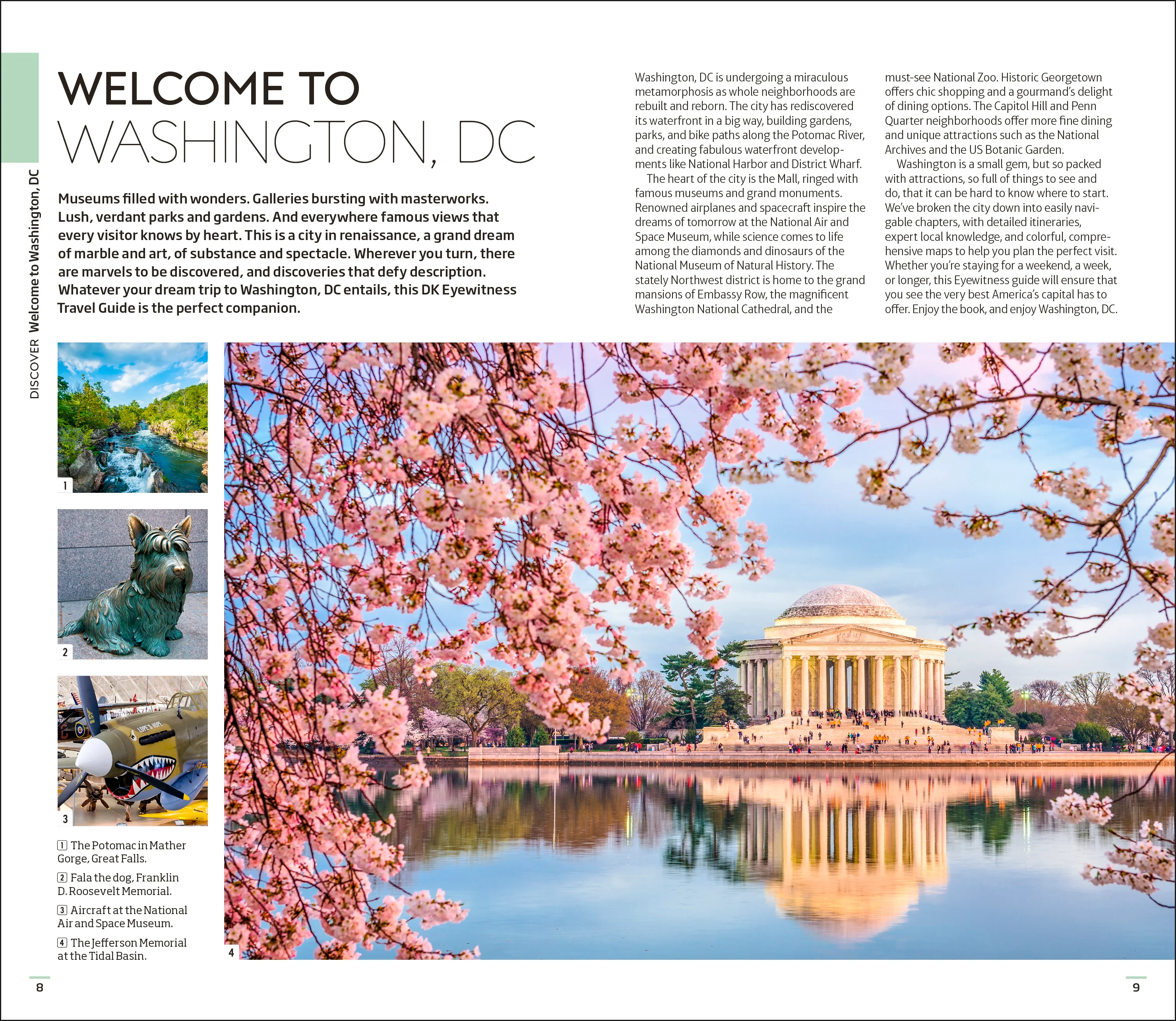 DK Washington, DC - Image 3