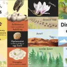 100 First Dinosaur Words - Image 3