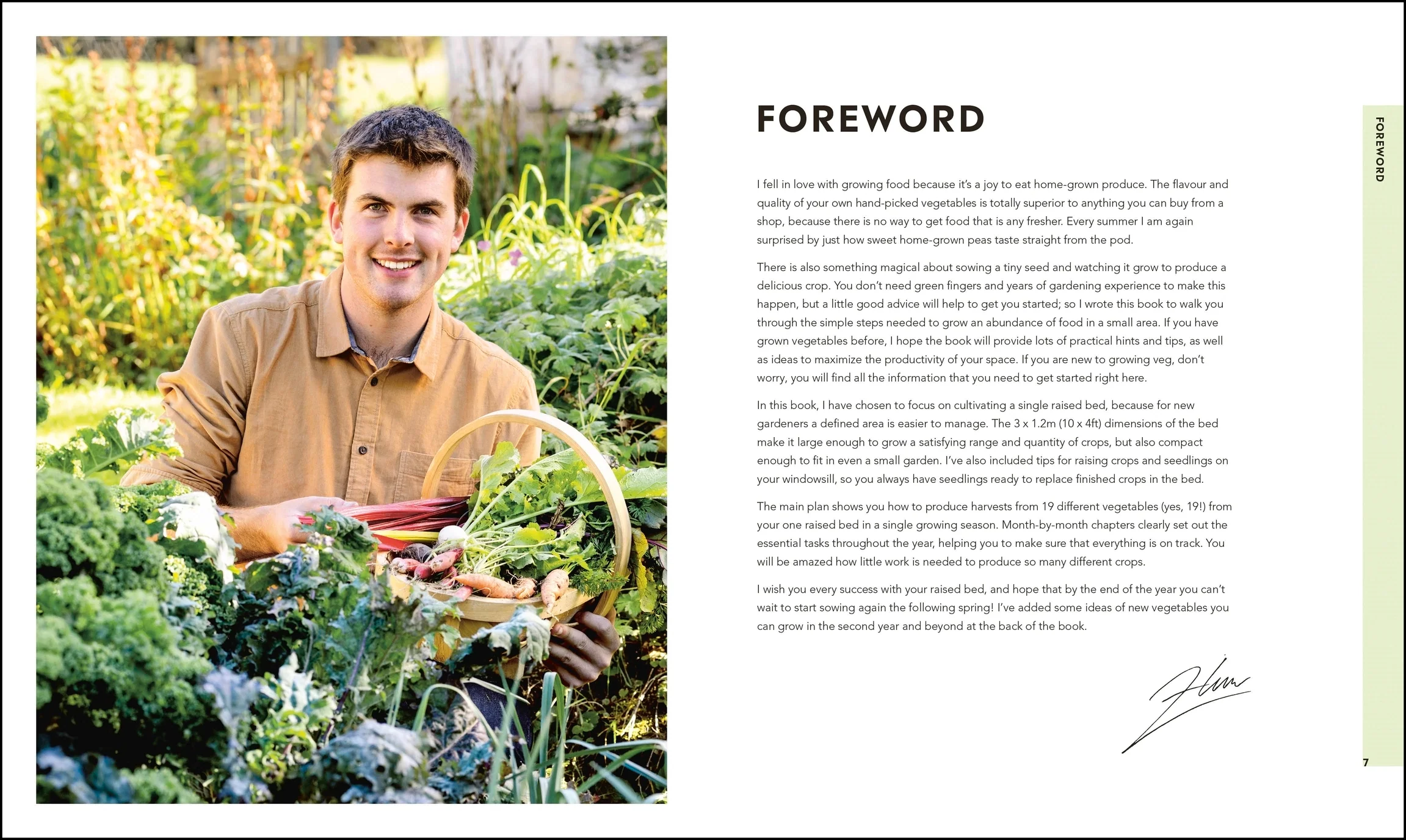 Veg in One Bed - Image 2