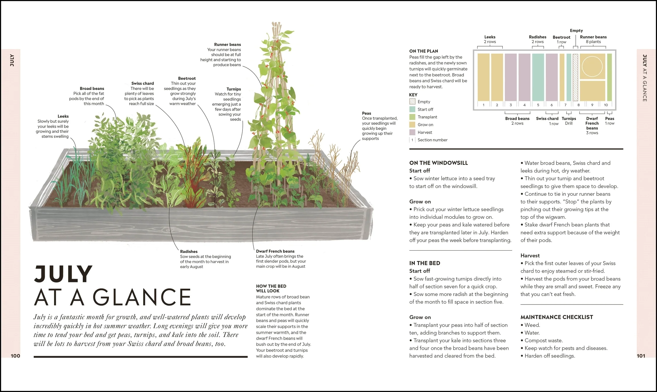 Veg in One Bed - Image 4