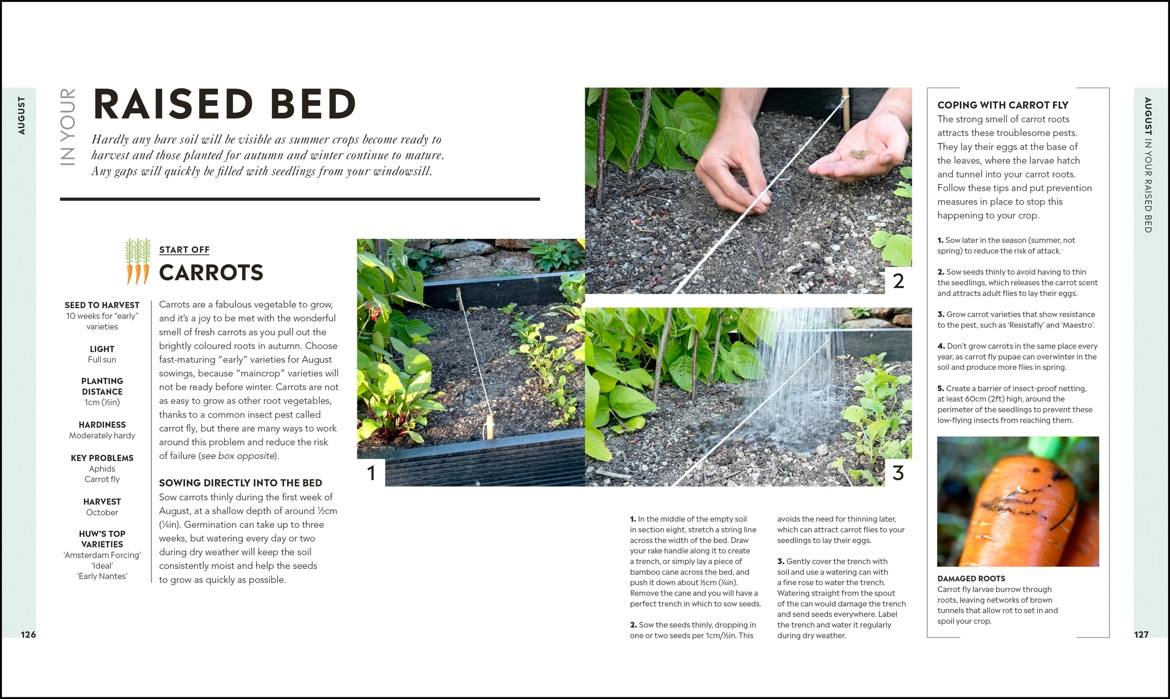 Veg in One Bed - Image 5
