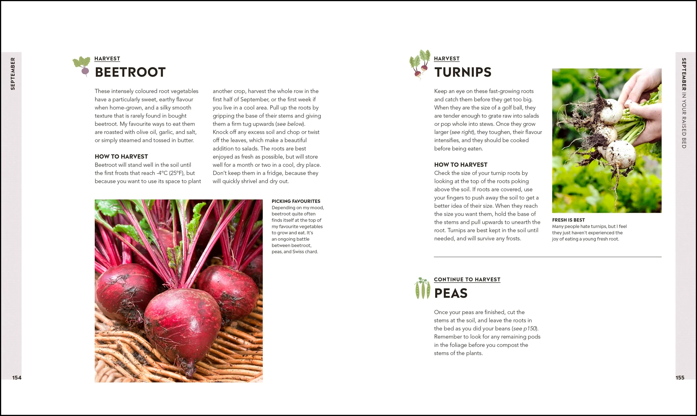 Veg in One Bed - Image 6