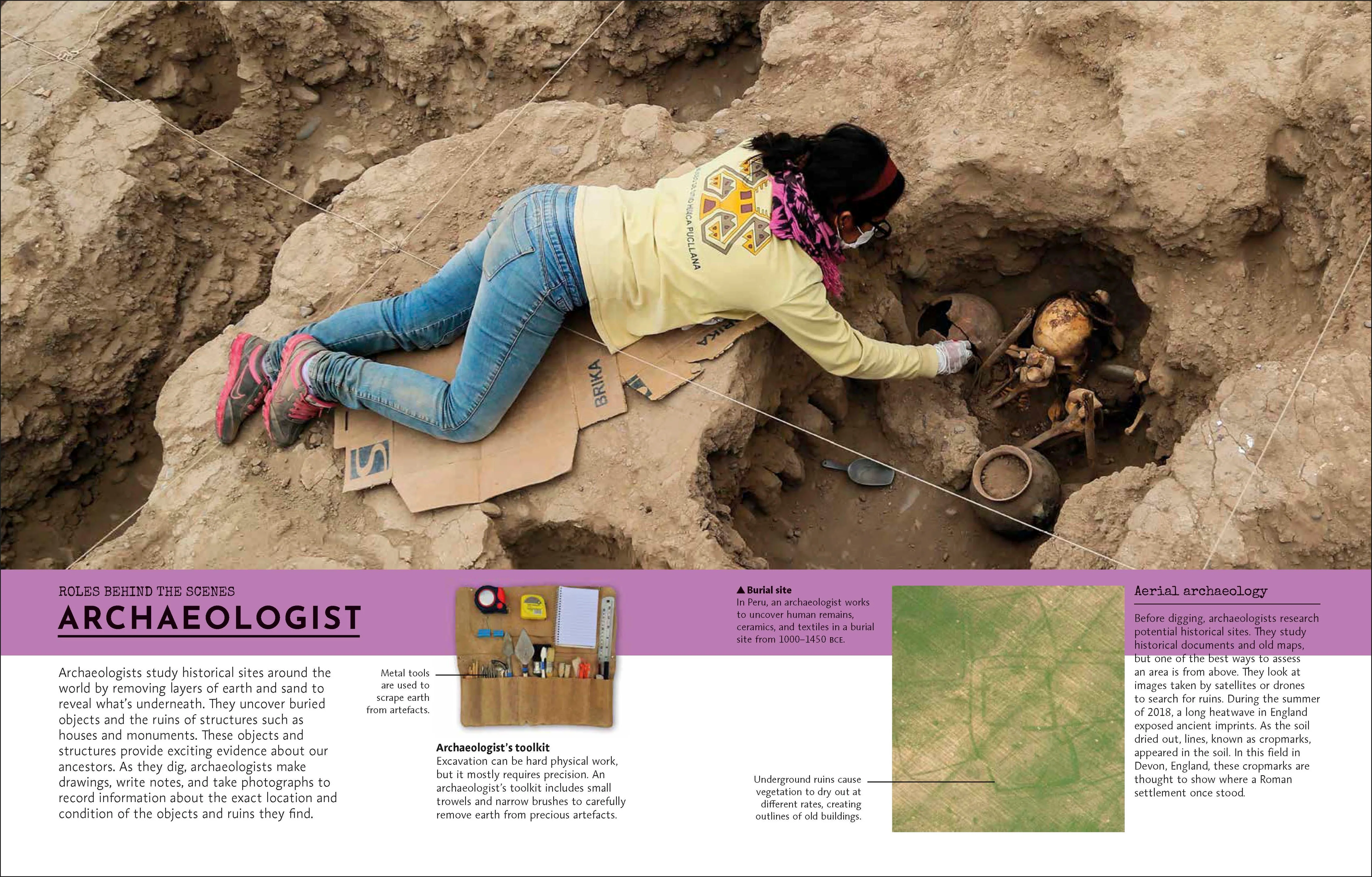 Behind the Scenes at the Museum - Image 4