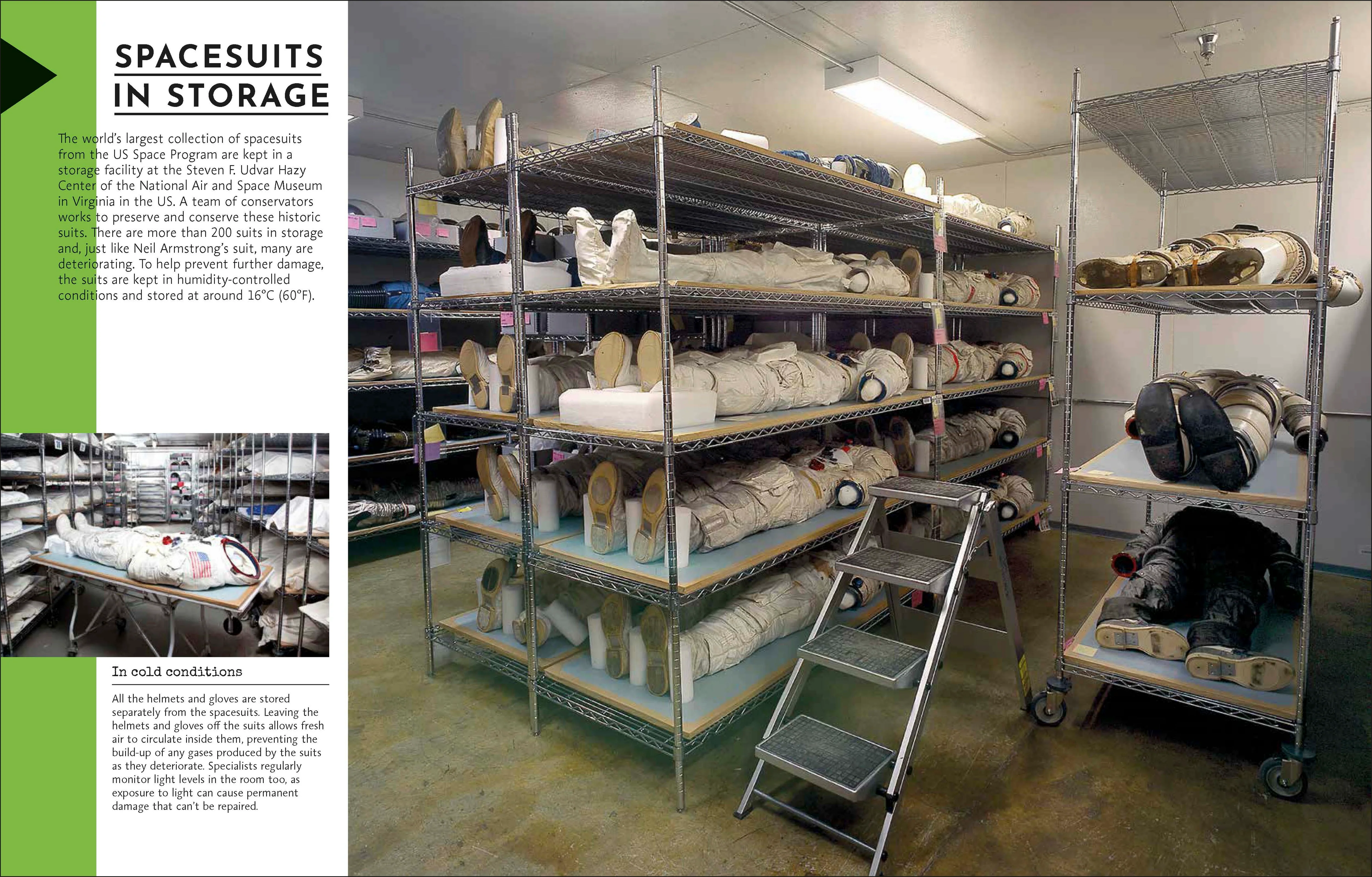 Behind the Scenes at the Museum - Image 9