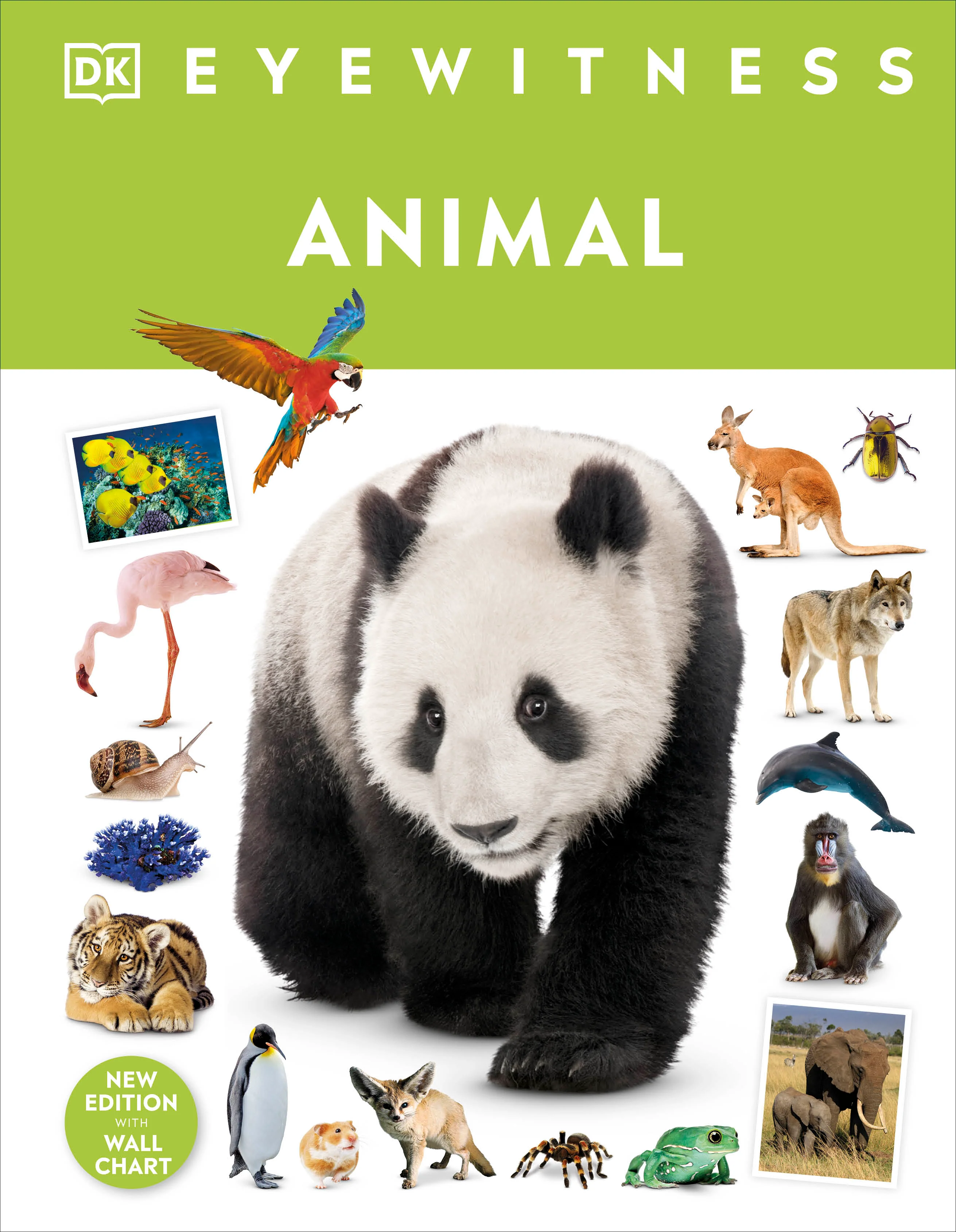 Animal - Image 3