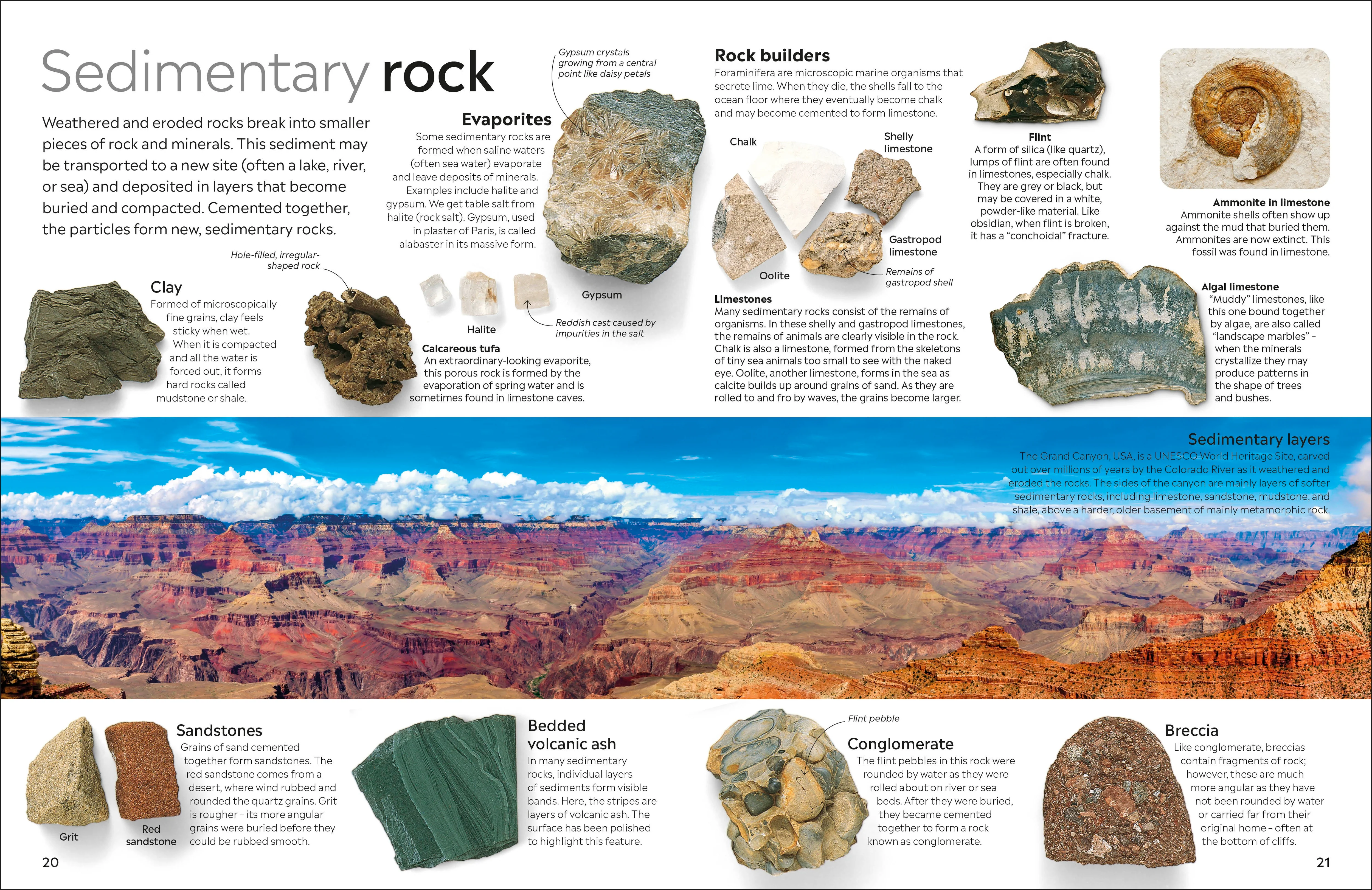 Rock and Mineral - Image 4