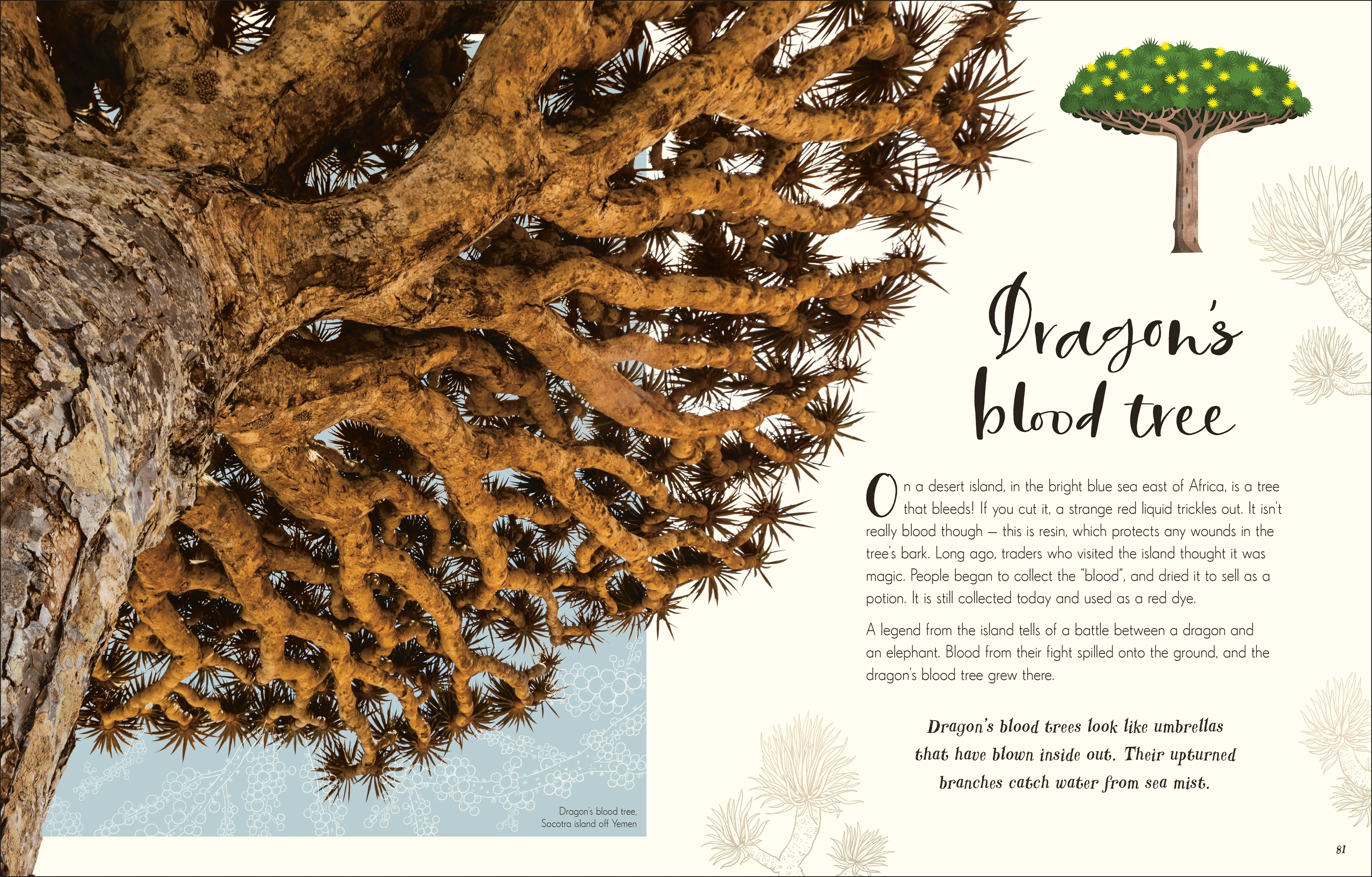 The Wonders of Nature - Image 5
