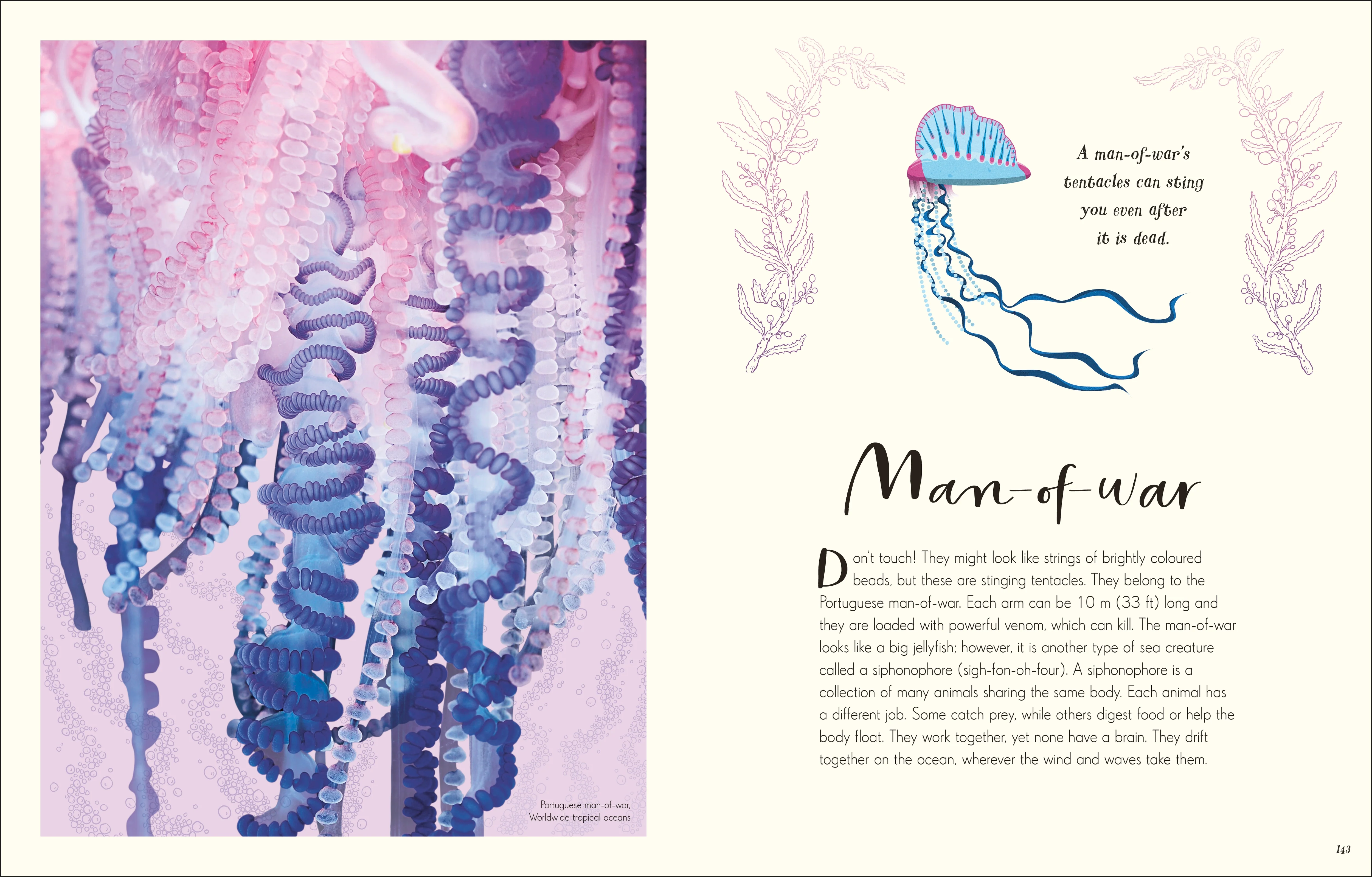 The Wonders of Nature - Image 7