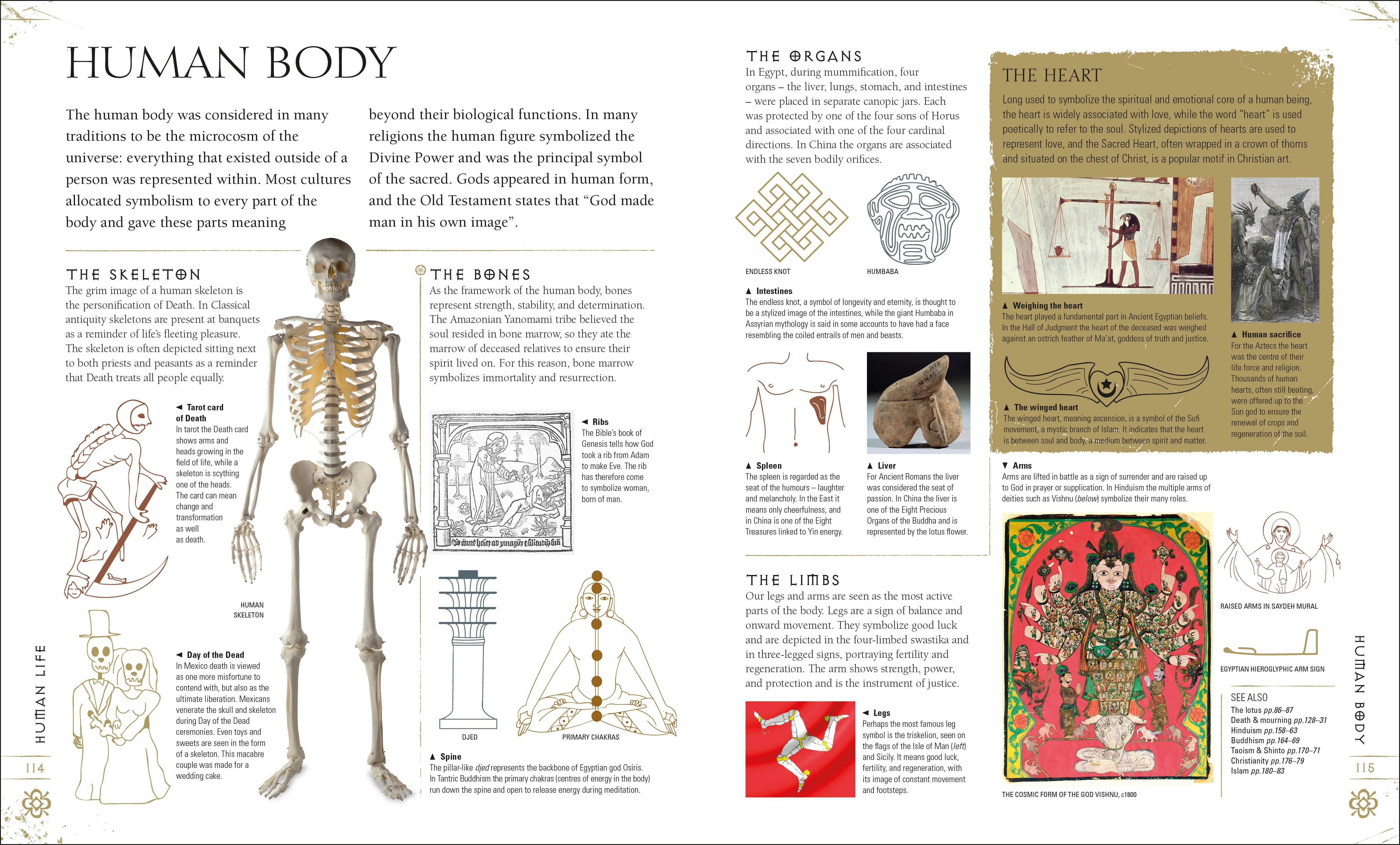 Signs & Symbols - Image 4