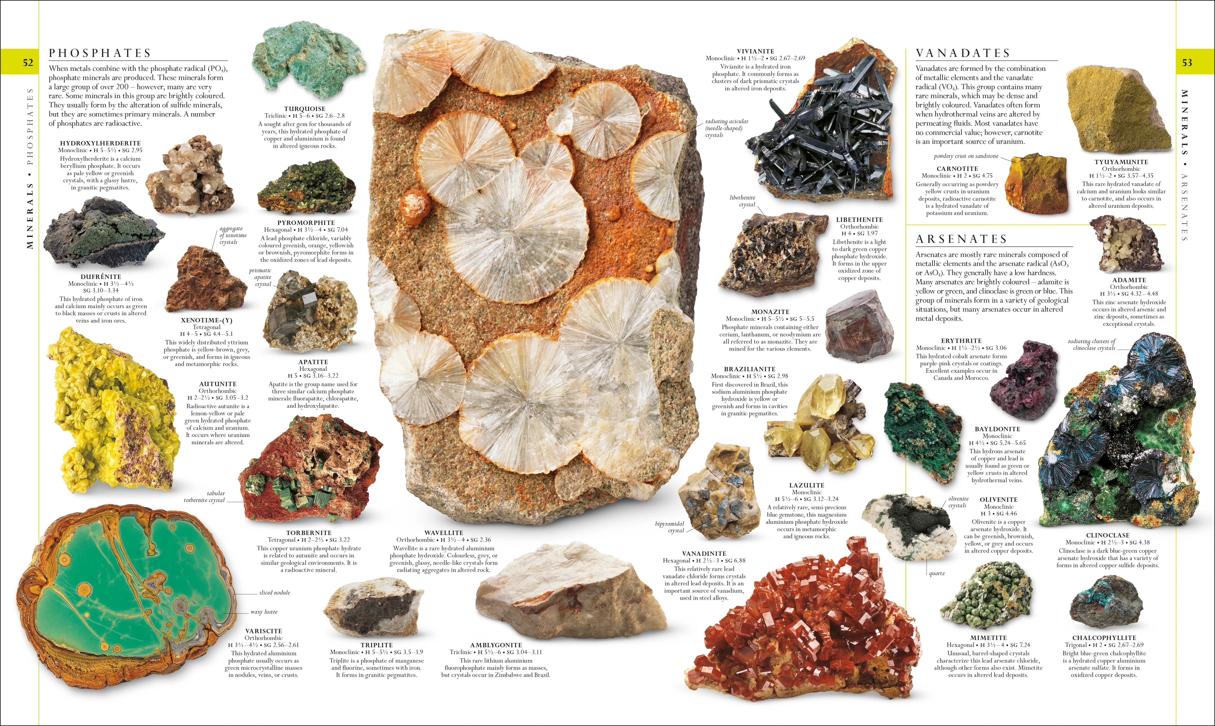 The Natural History Book - Image 2