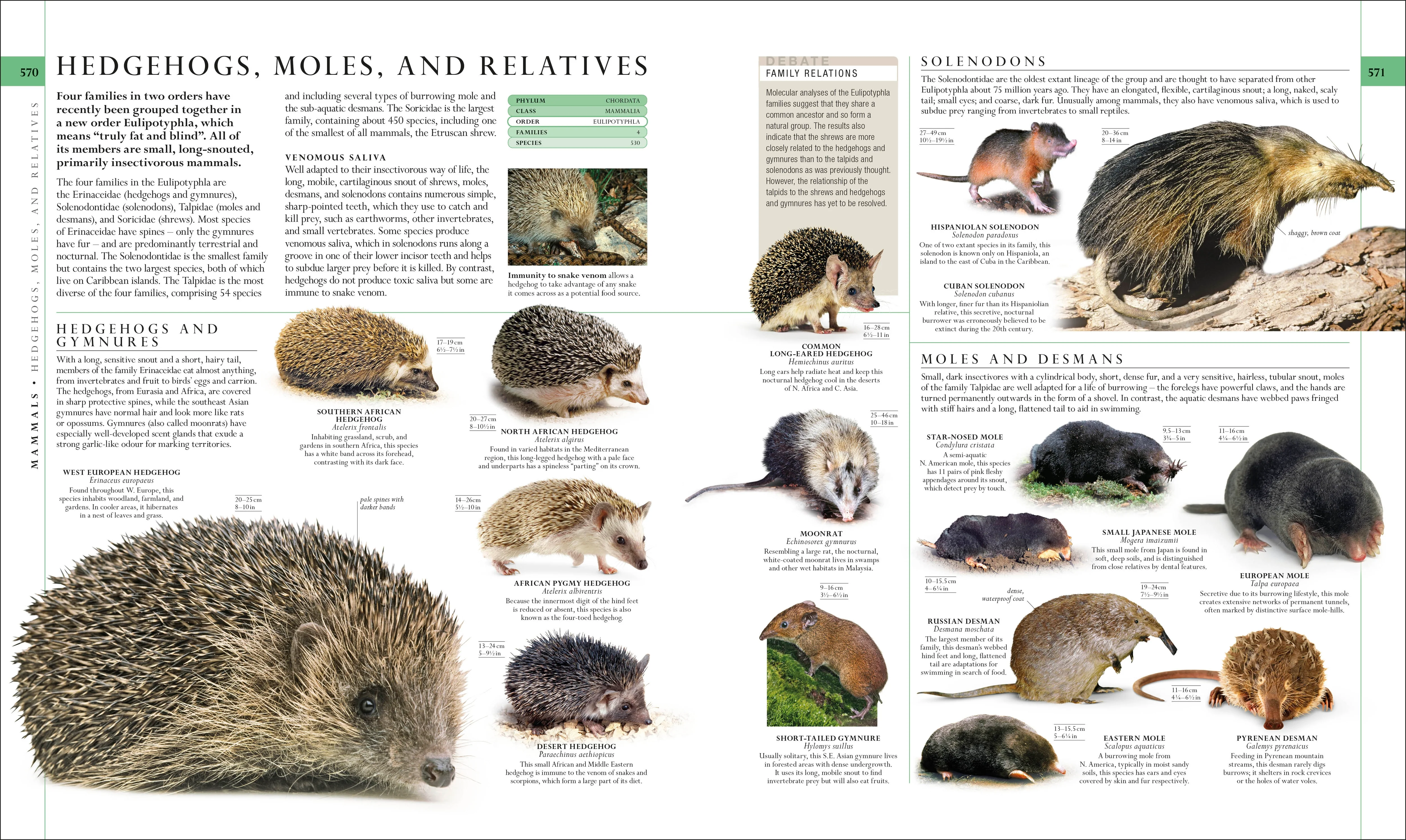 The Natural History Book - Image 8