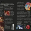 The Concise Human Body Book - Image 2