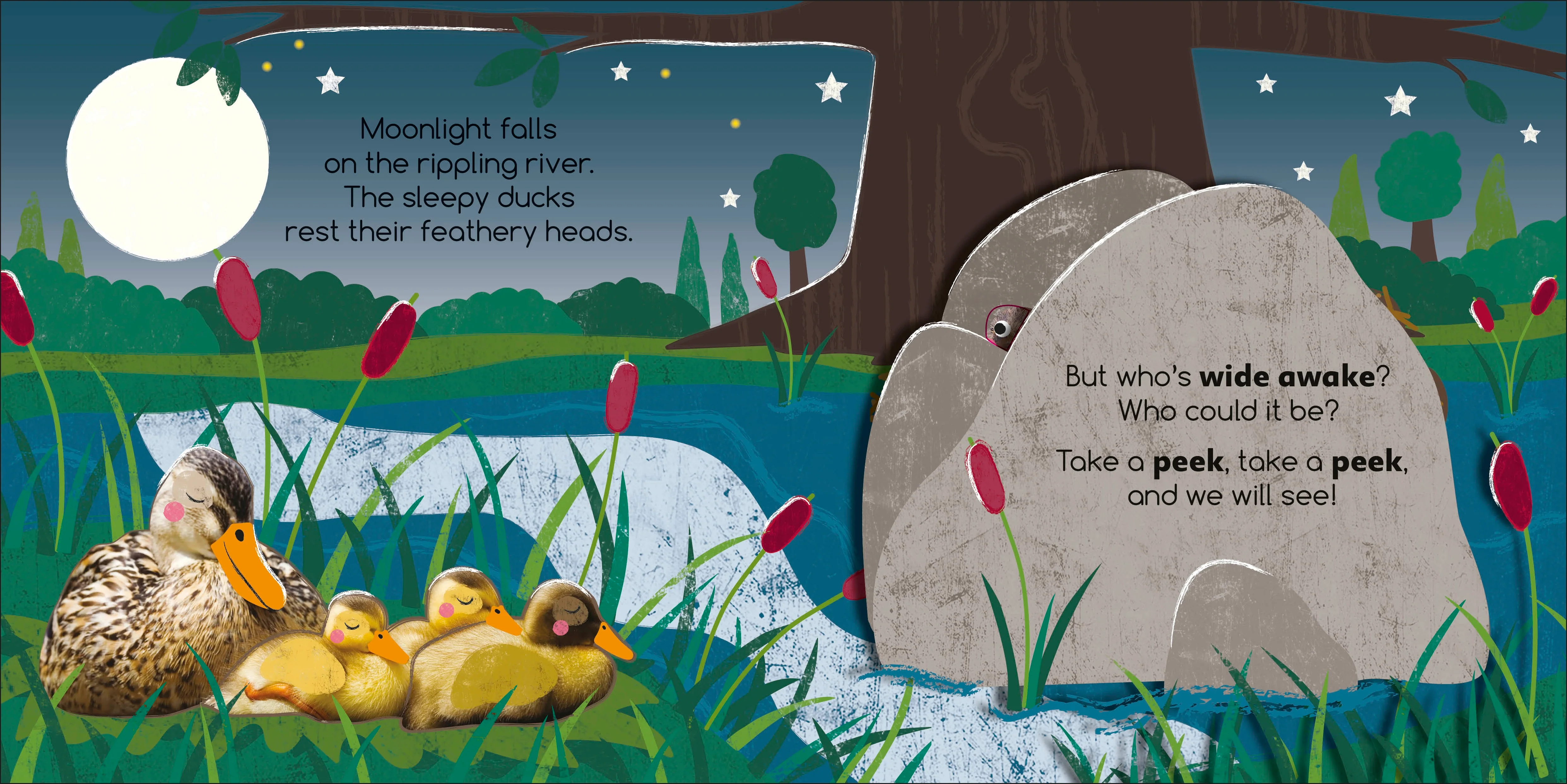 Flip Flap Find! Night-time Animals - Image 4