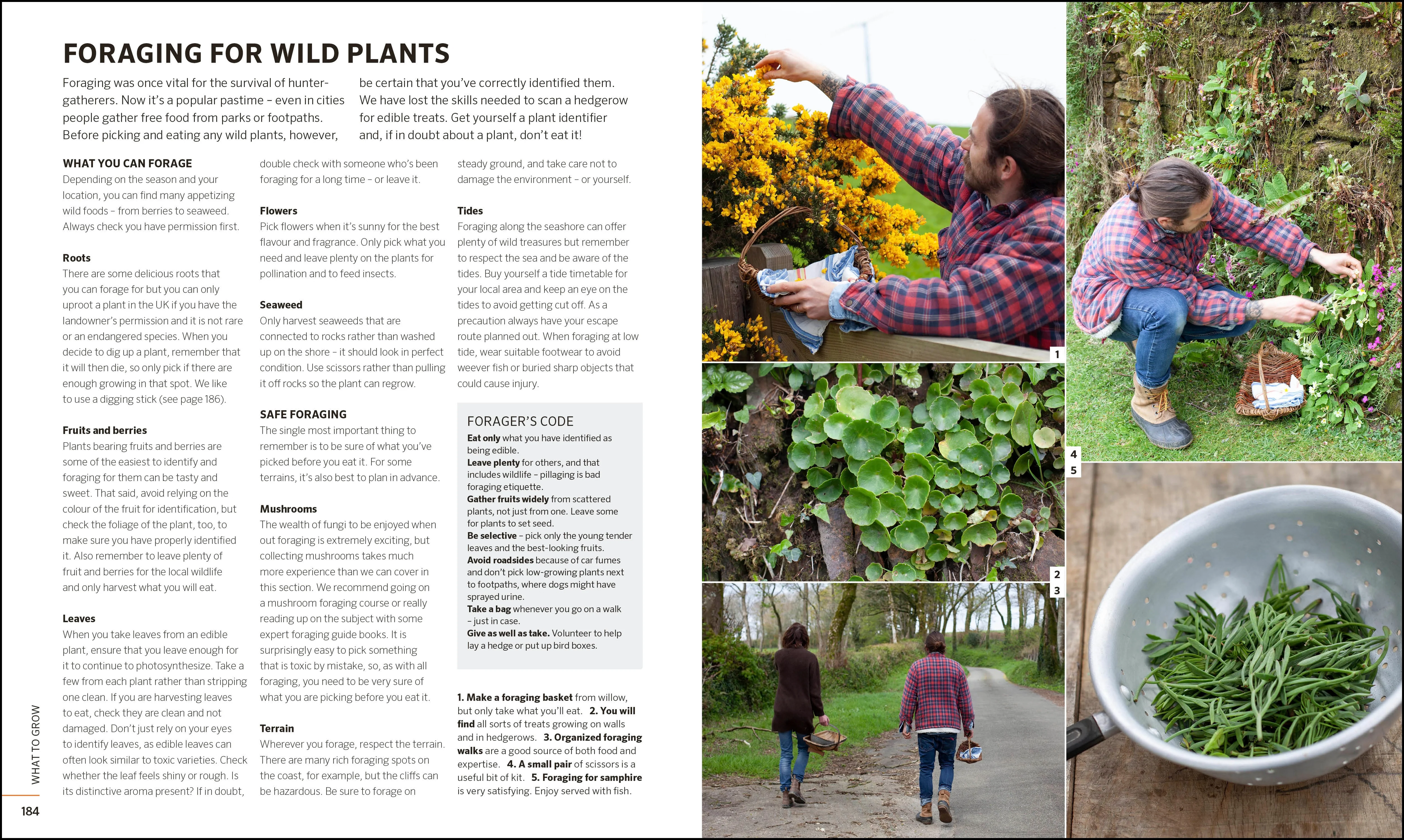Practical Self-sufficiency - Image 4