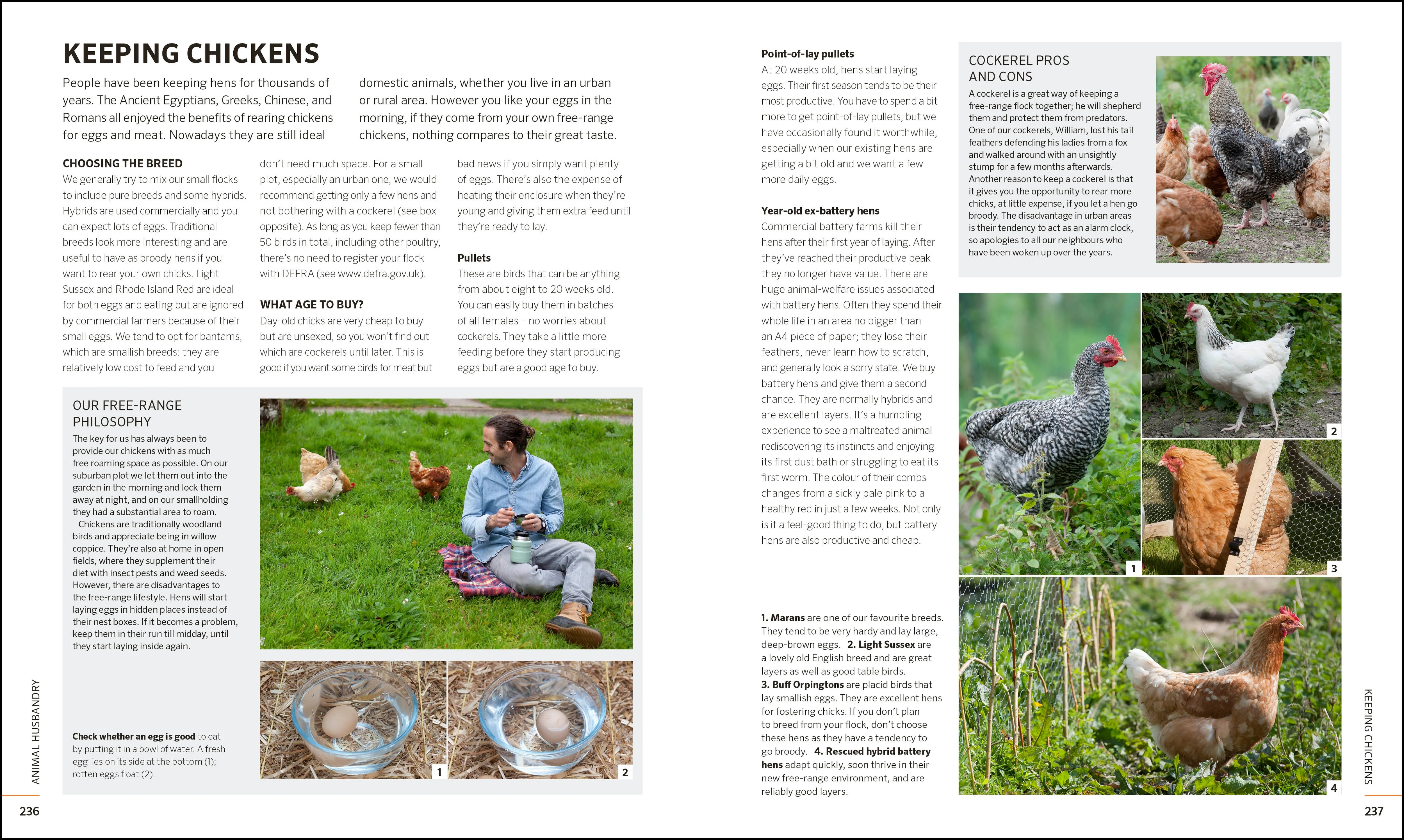Practical Self-sufficiency - Image 5