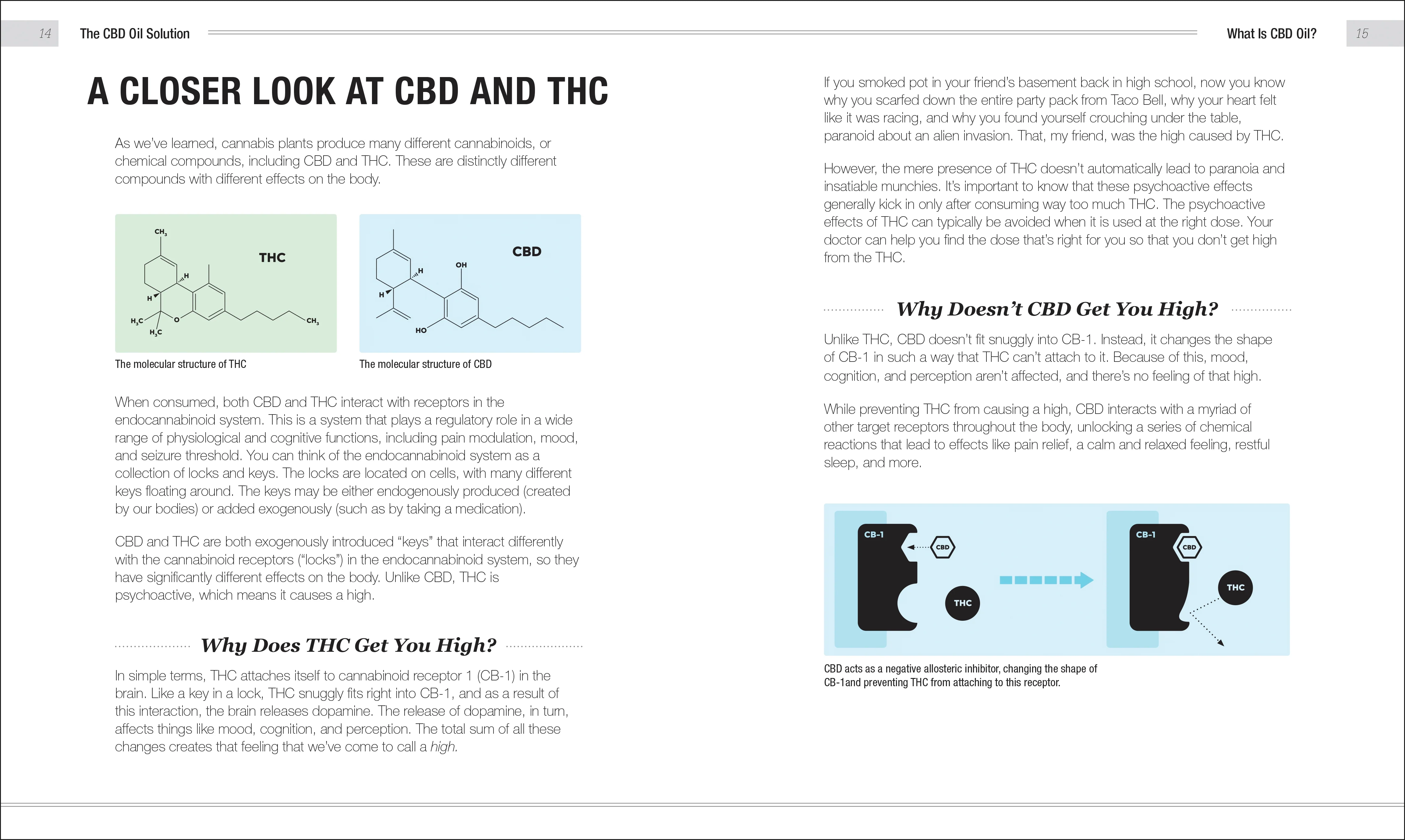 The CBD Oil Solution - Image 2