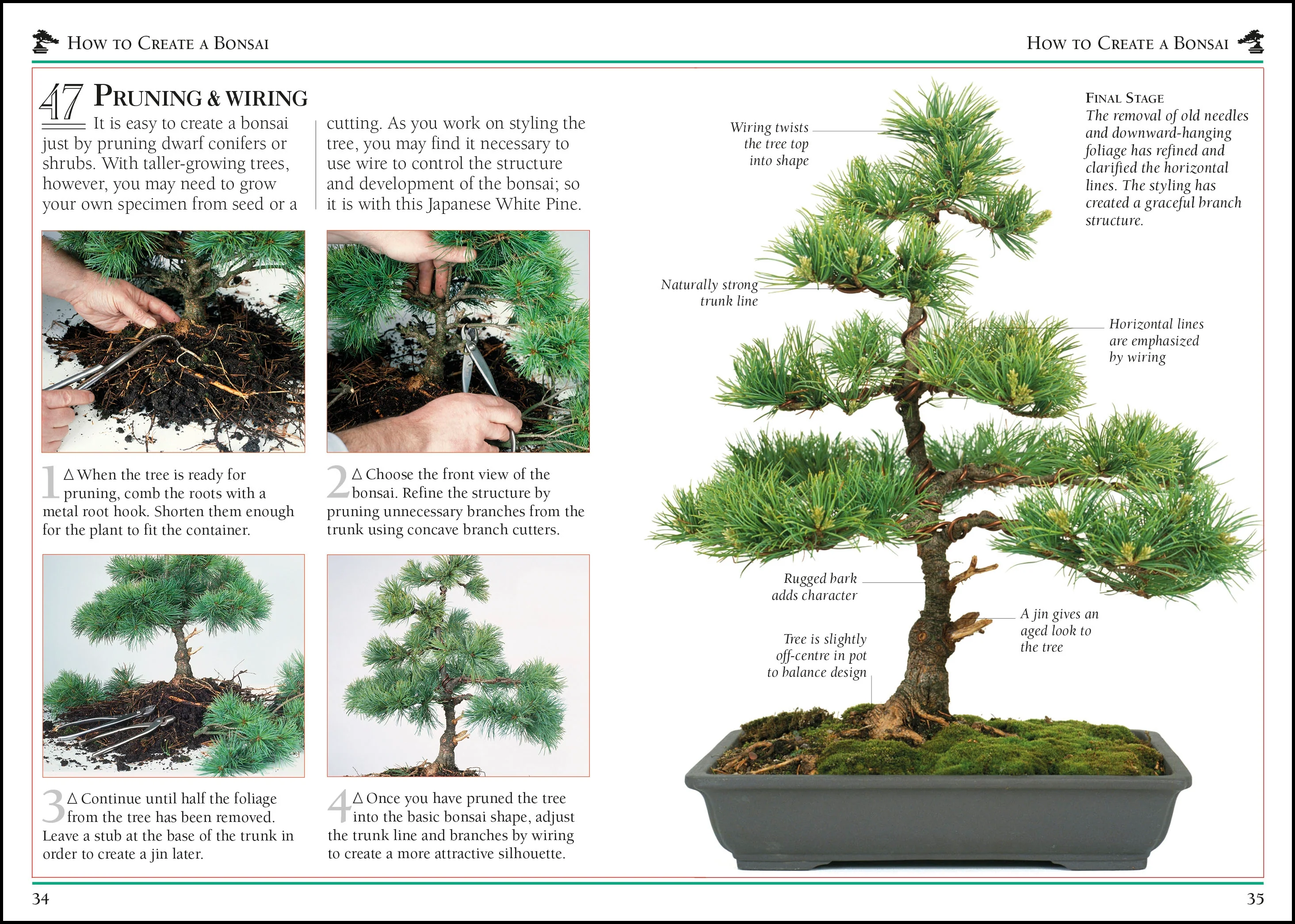 101 Essential Tips Bonsai - Image 2