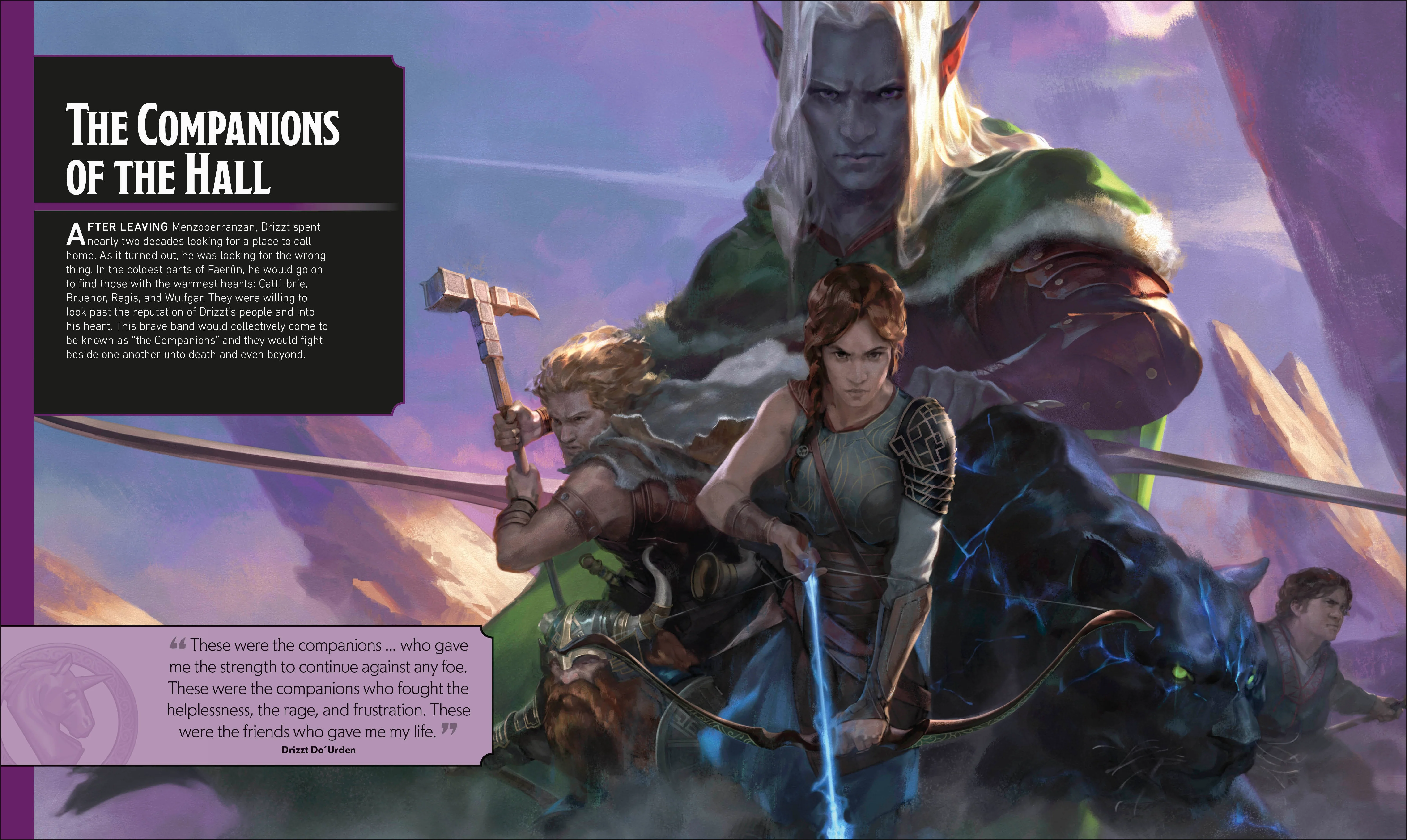 Dungeons & Dragons The Legend of Drizzt Visual Dictionary - Image 3
