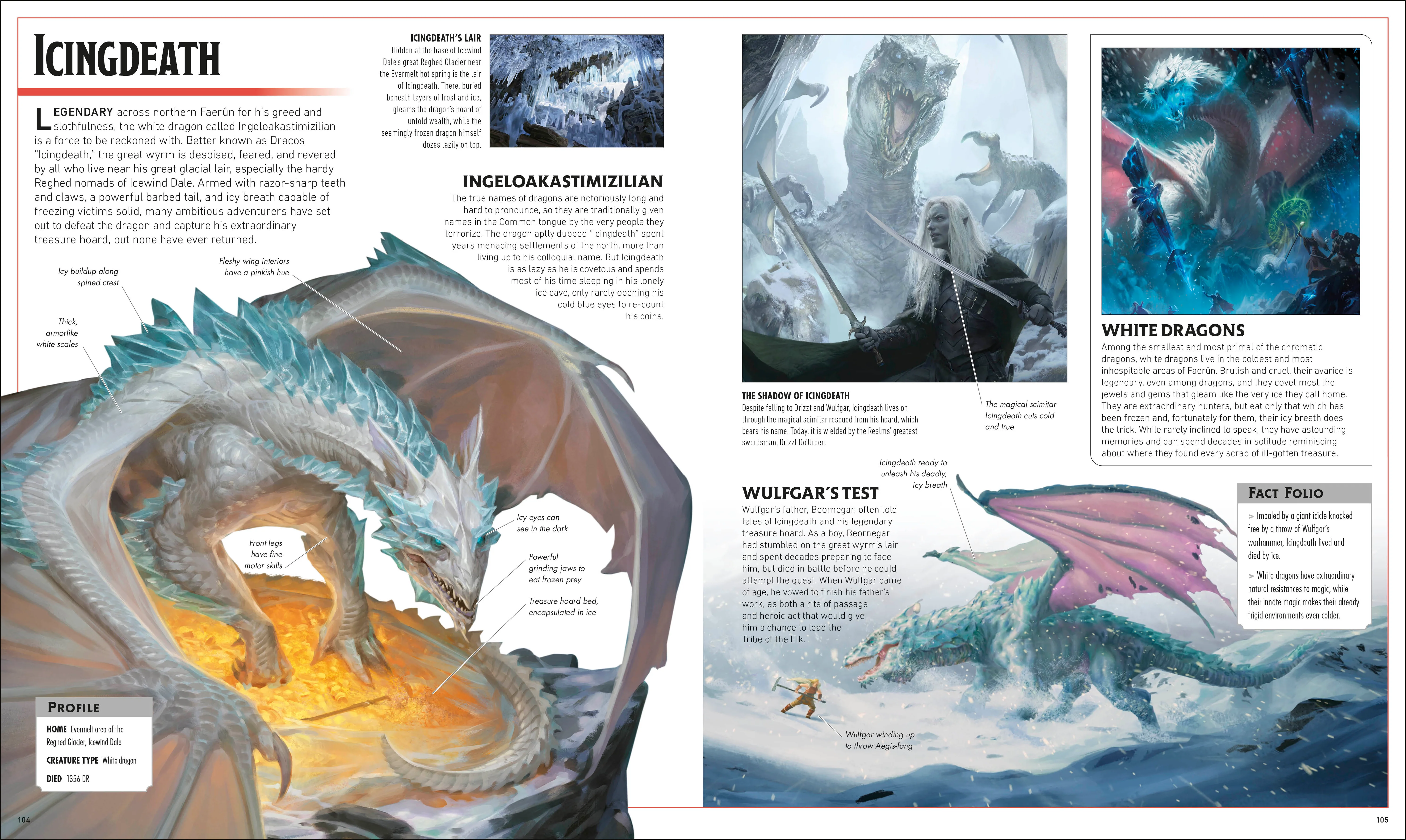 Dungeons & Dragons The Legend of Drizzt Visual Dictionary - Image 7