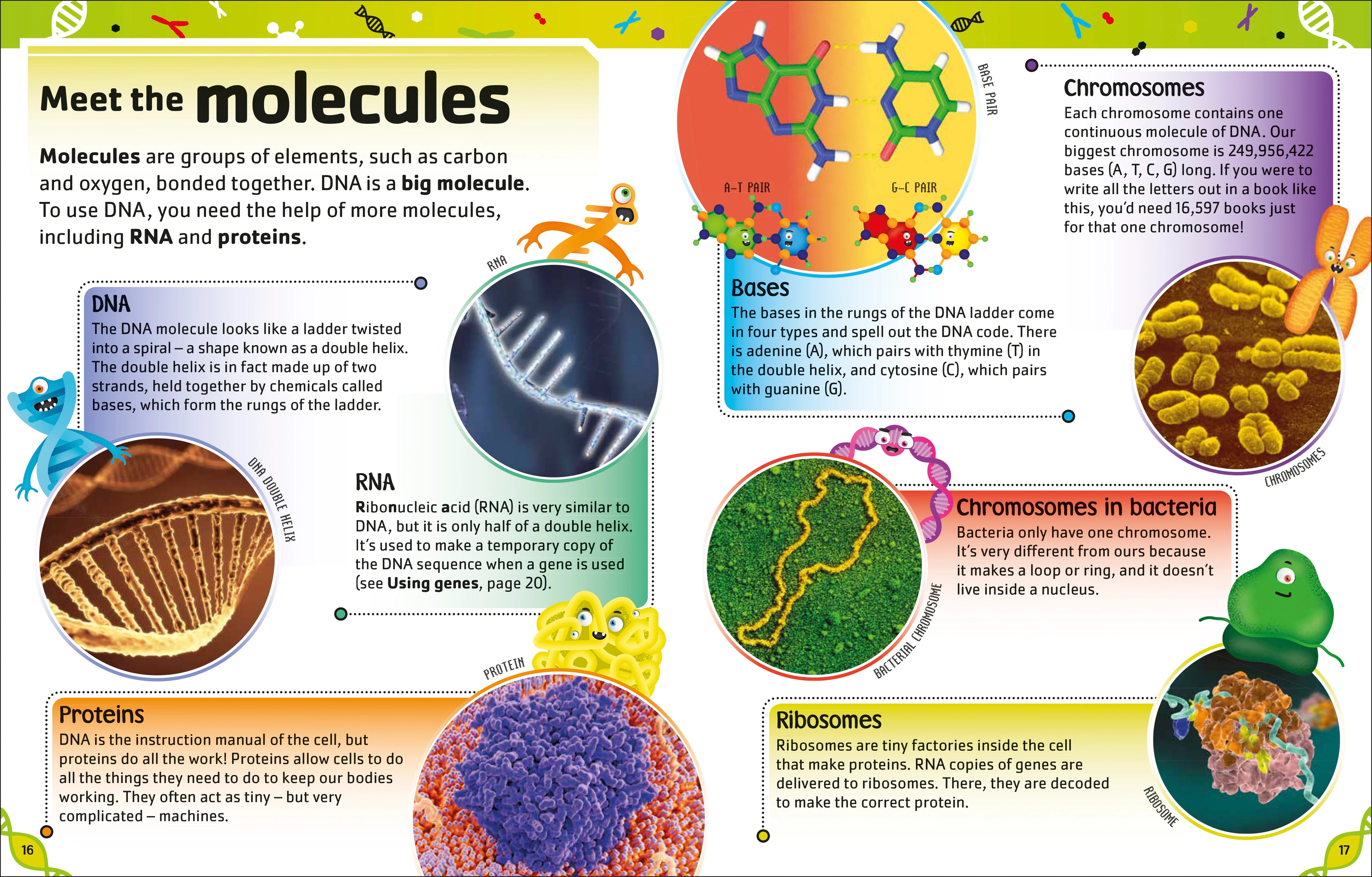 The DNA Book - Image 3