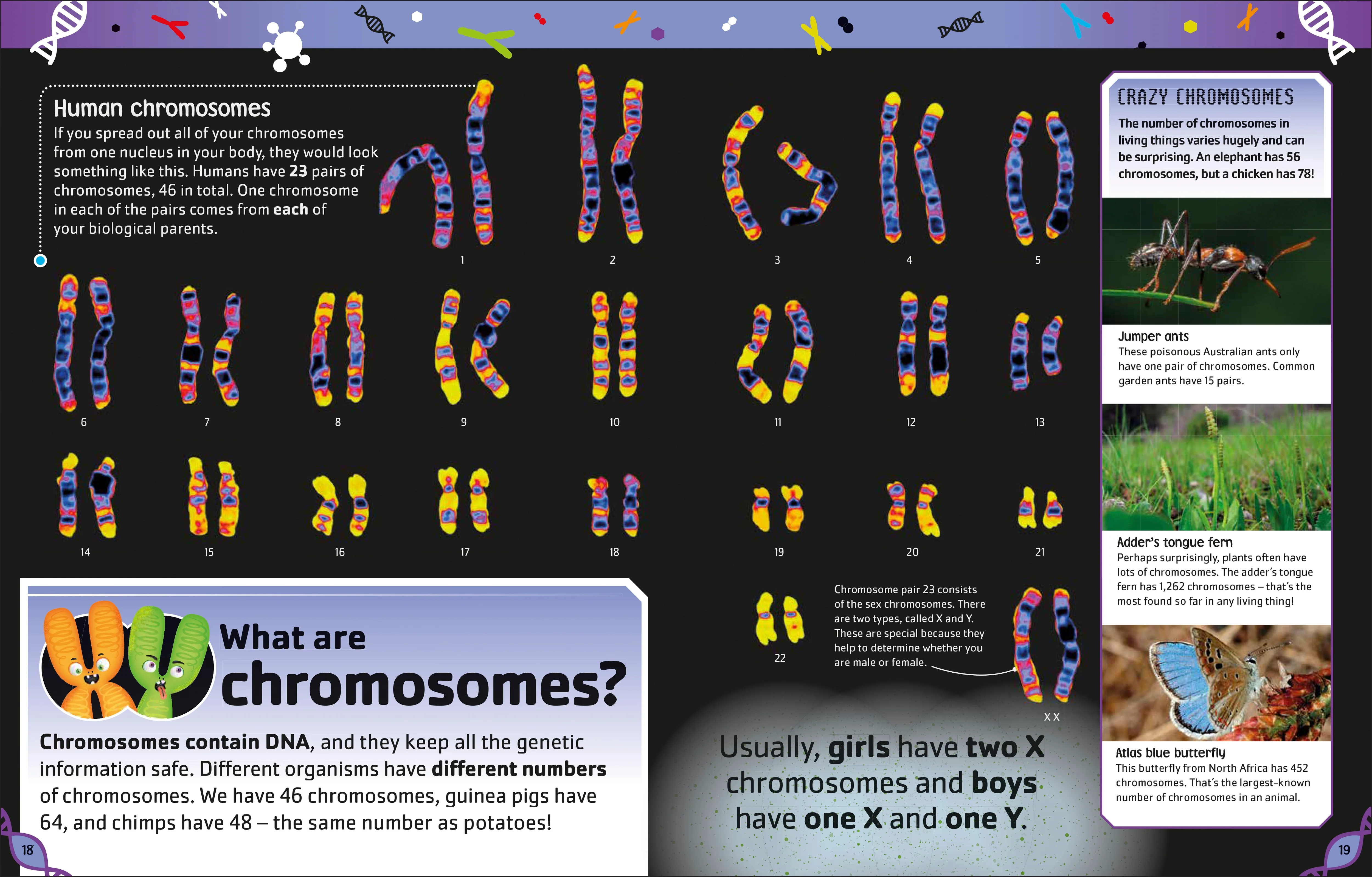 The DNA Book - Image 4