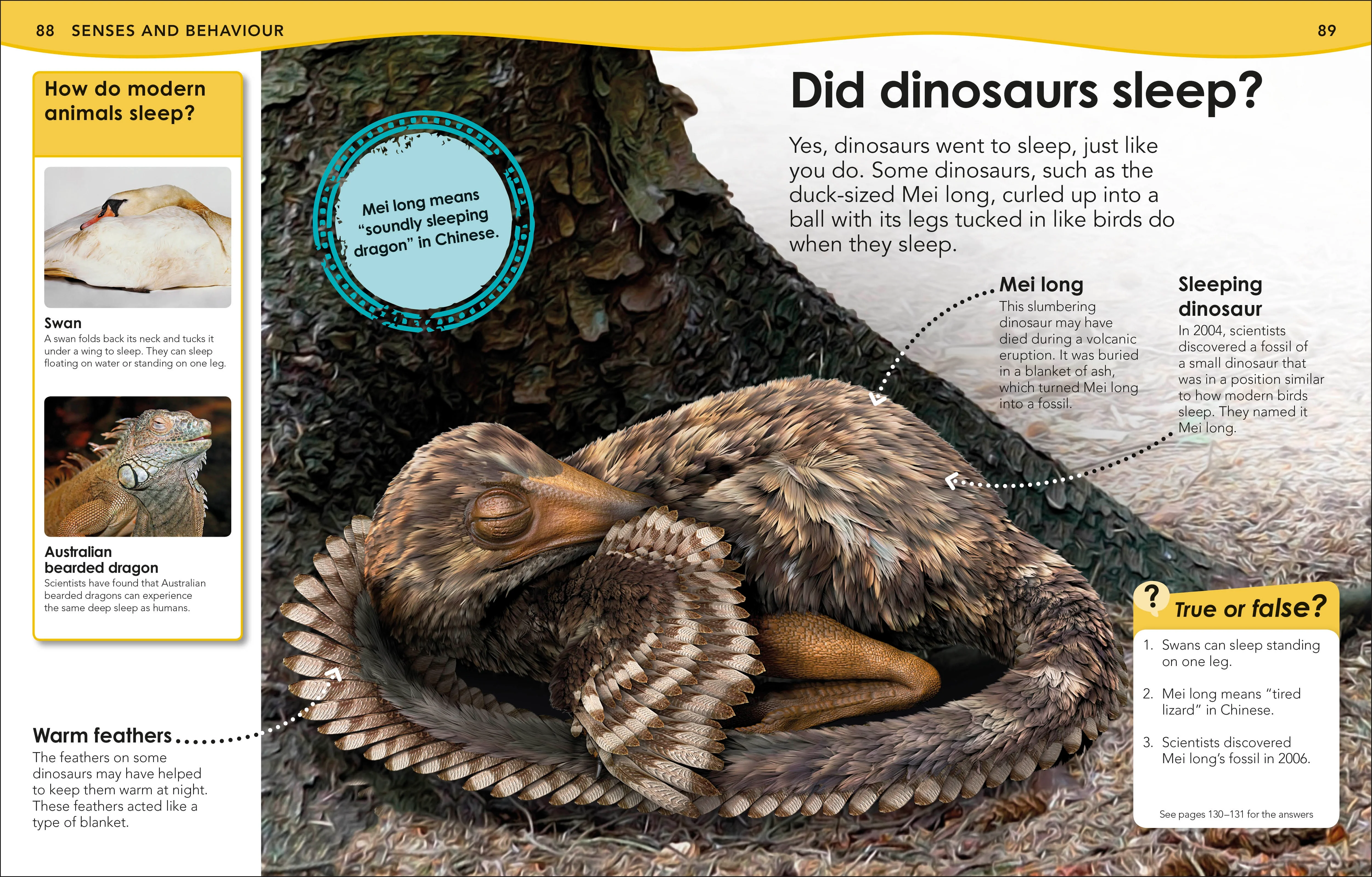 Does a Dinosaur Roar? - Image 2