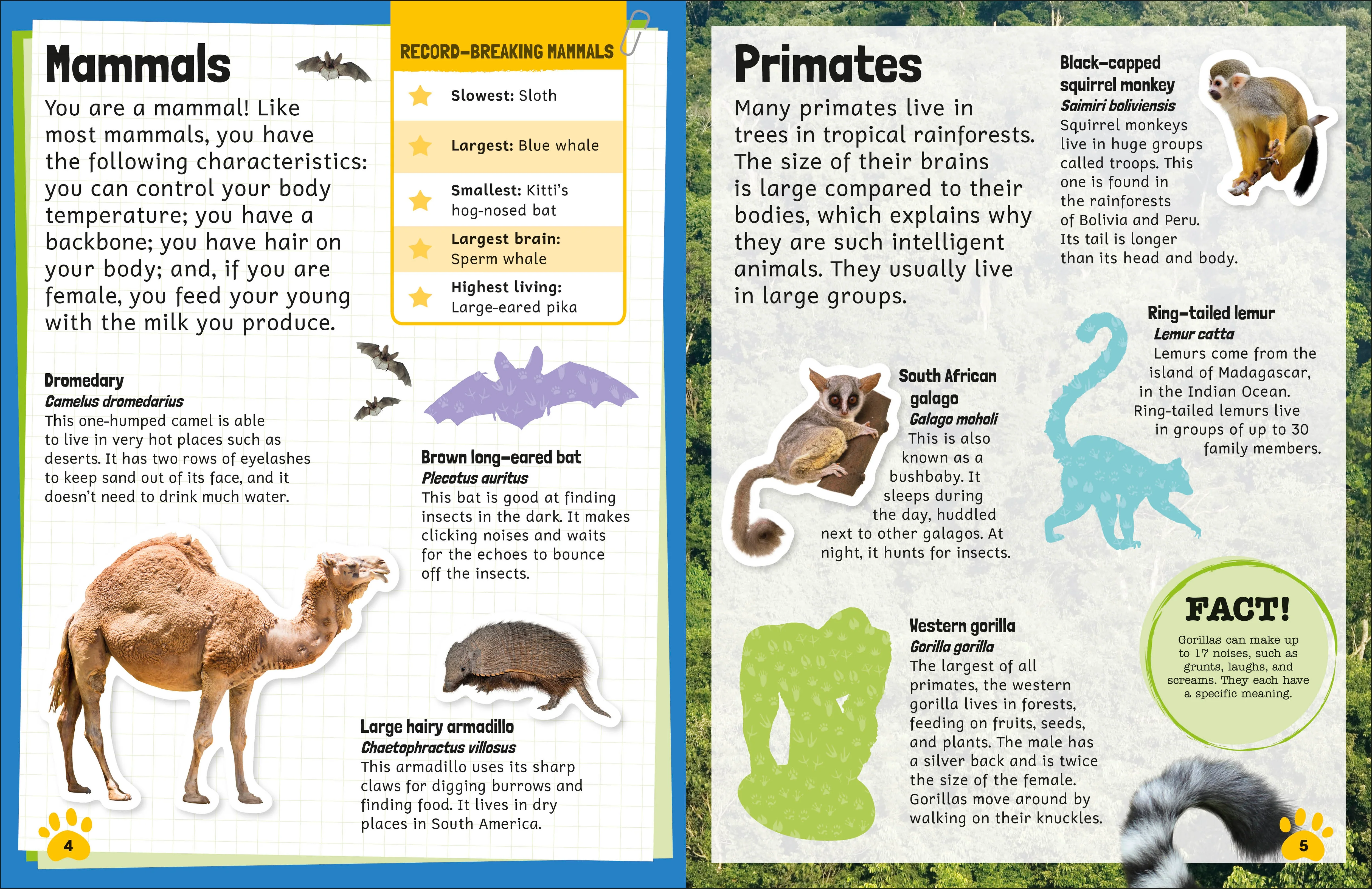 Sticker Encyclopedia Animals - Image 2