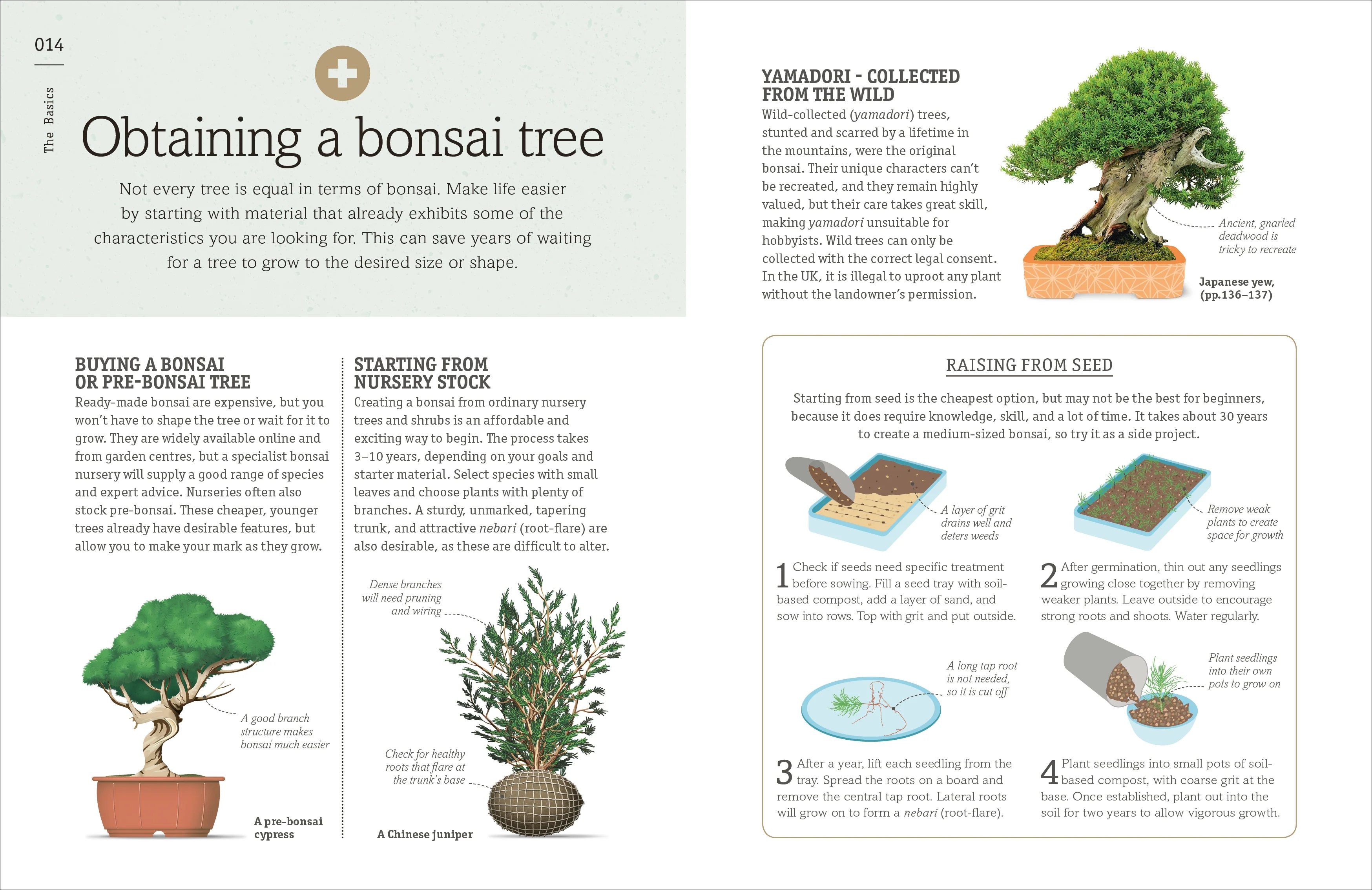 Happy Bonsai - Image 2