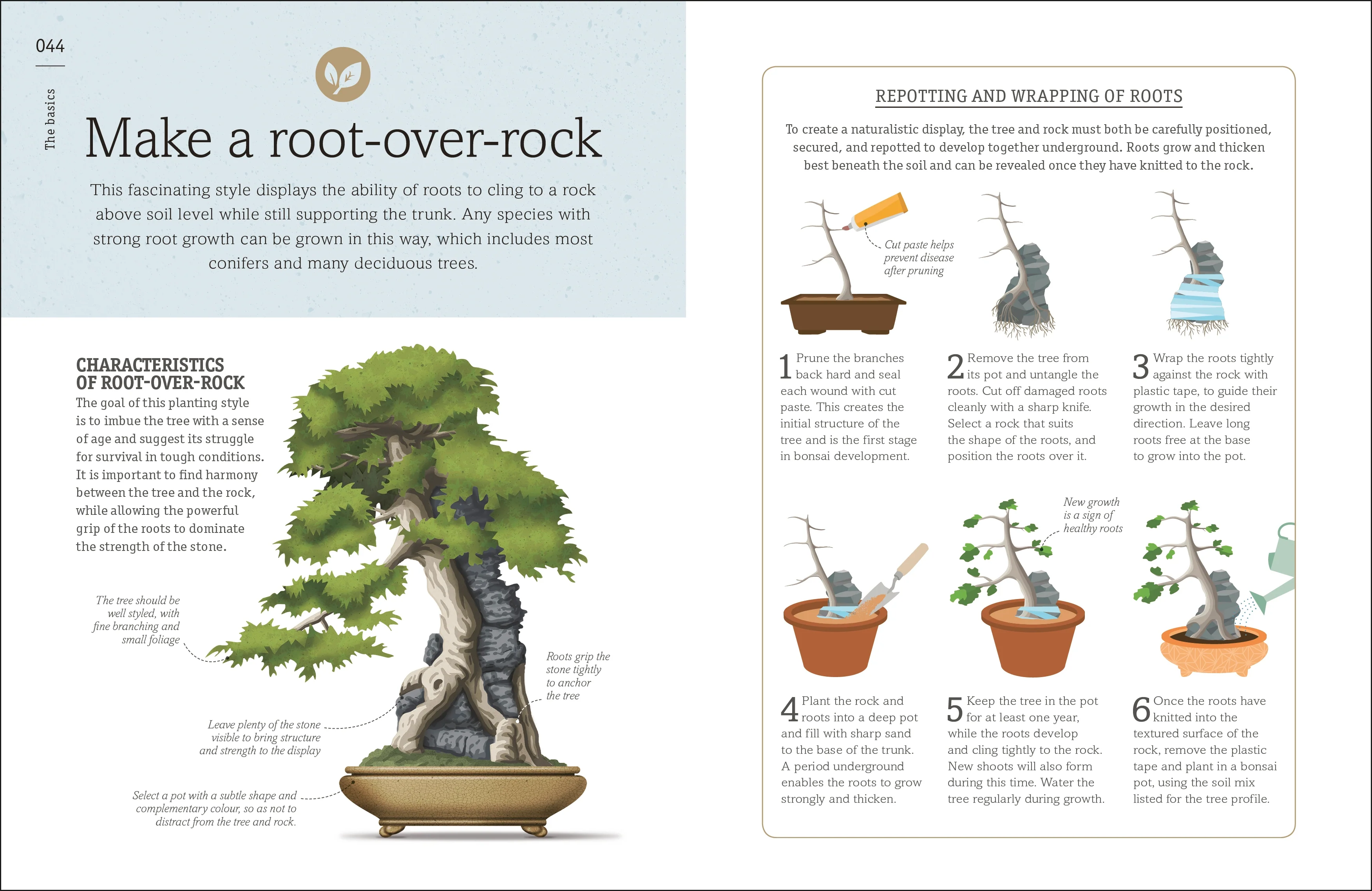 Happy Bonsai - Image 6