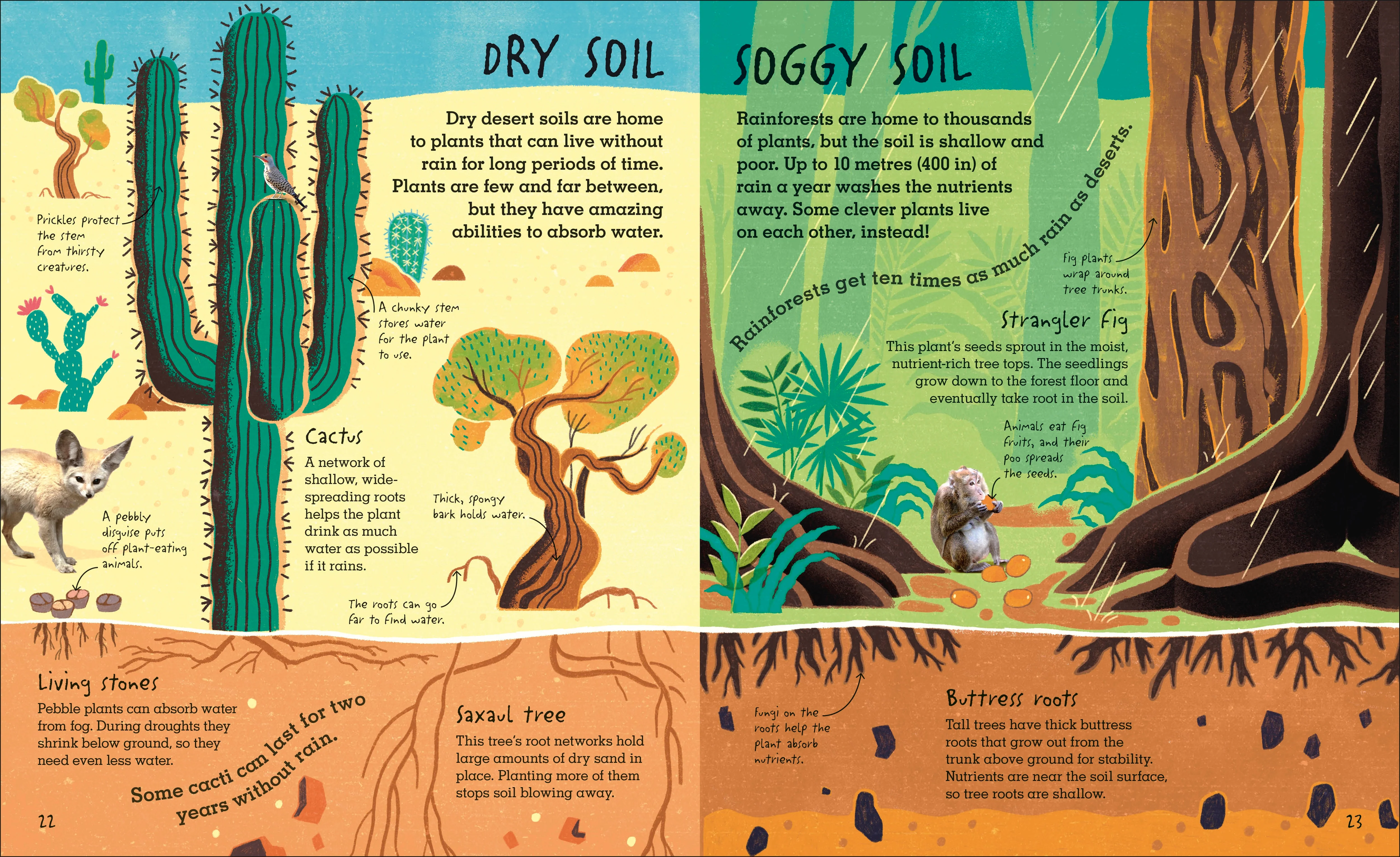 RHS Under Your Feet - Image 3