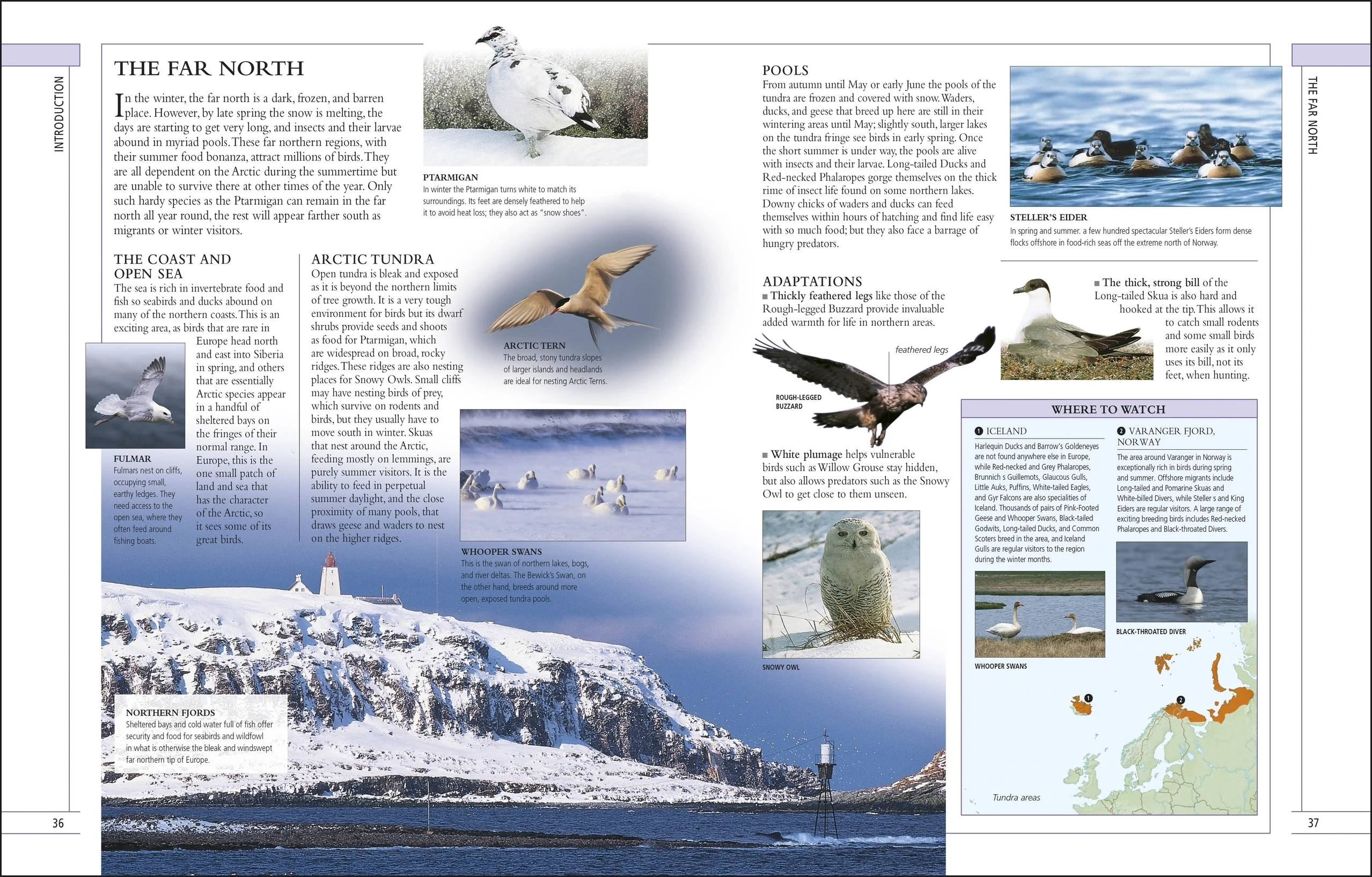RSPB Complete Birds of Britain and Europe - Image 3