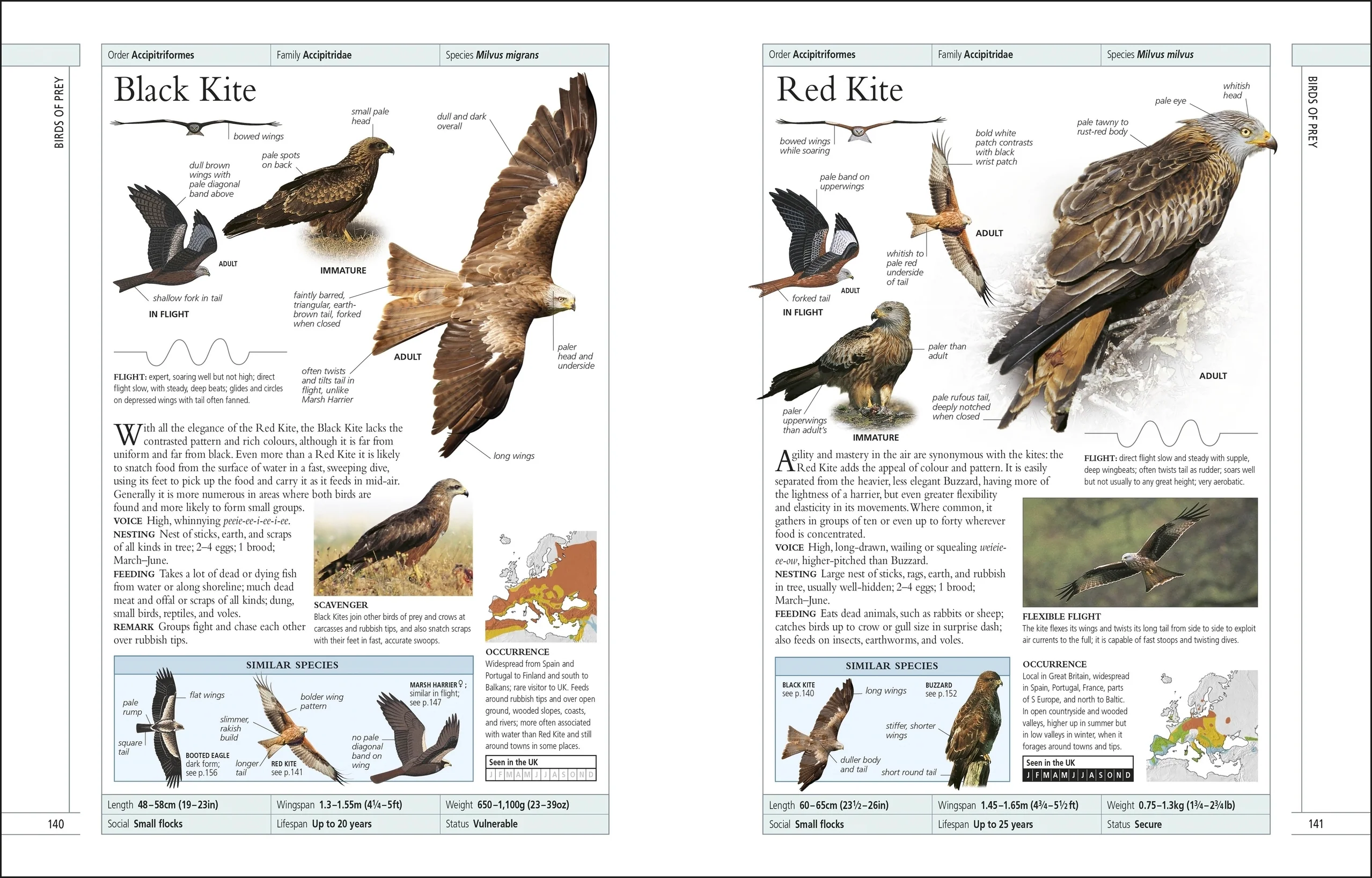 RSPB Complete Birds of Britain and Europe - Image 4