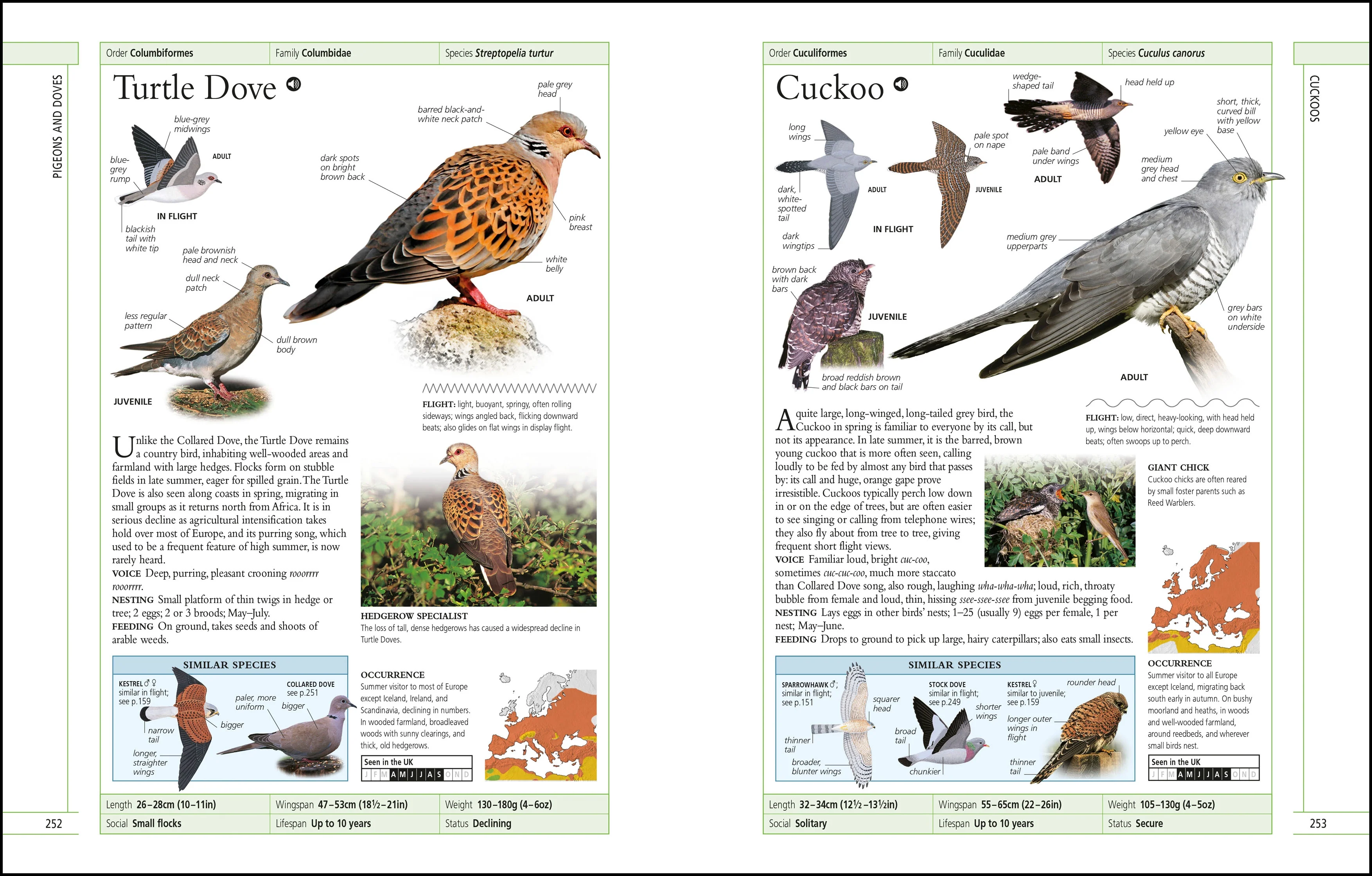 RSPB Complete Birds of Britain and Europe - Image 5