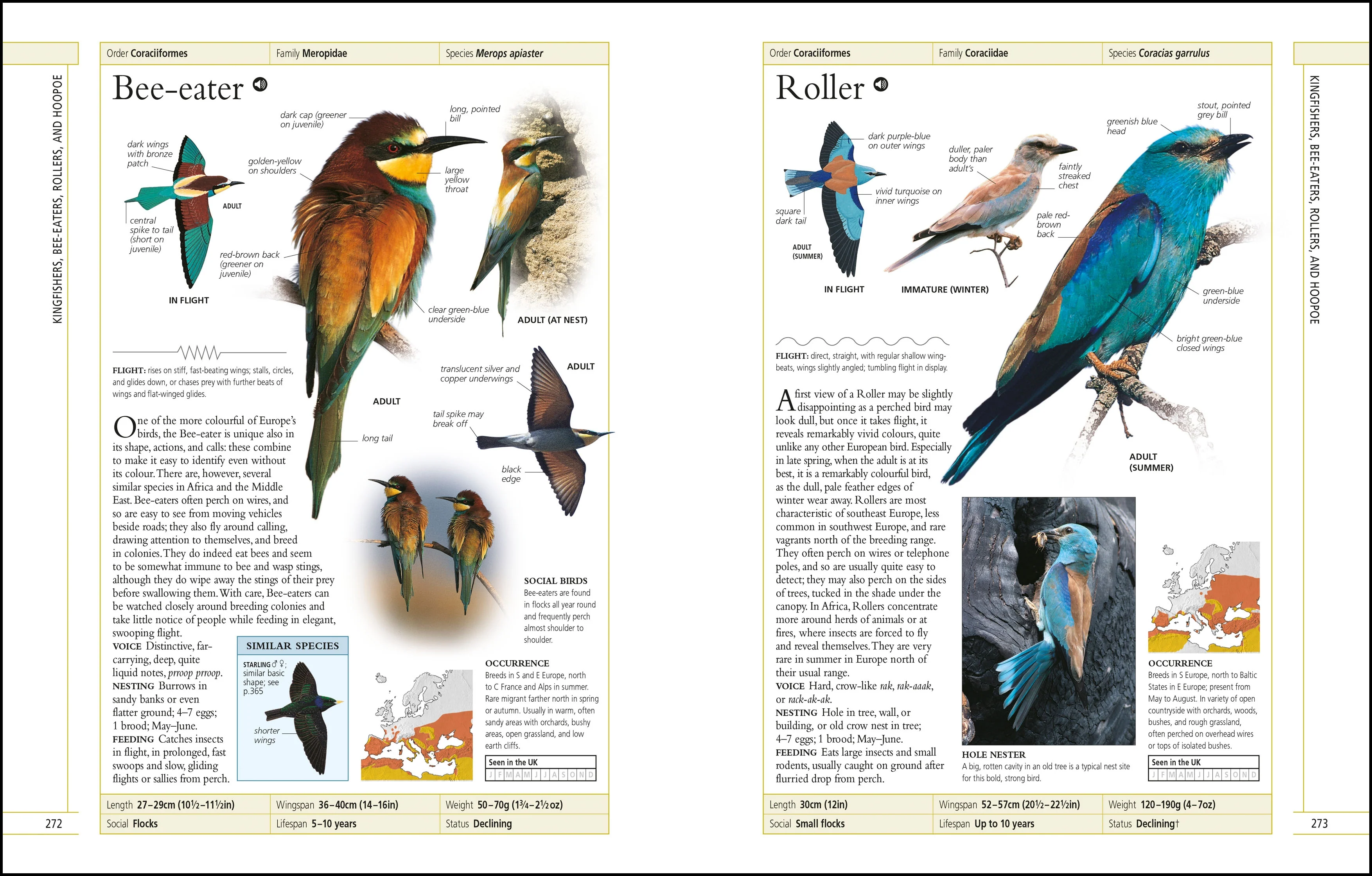 RSPB Complete Birds of Britain and Europe - Image 6