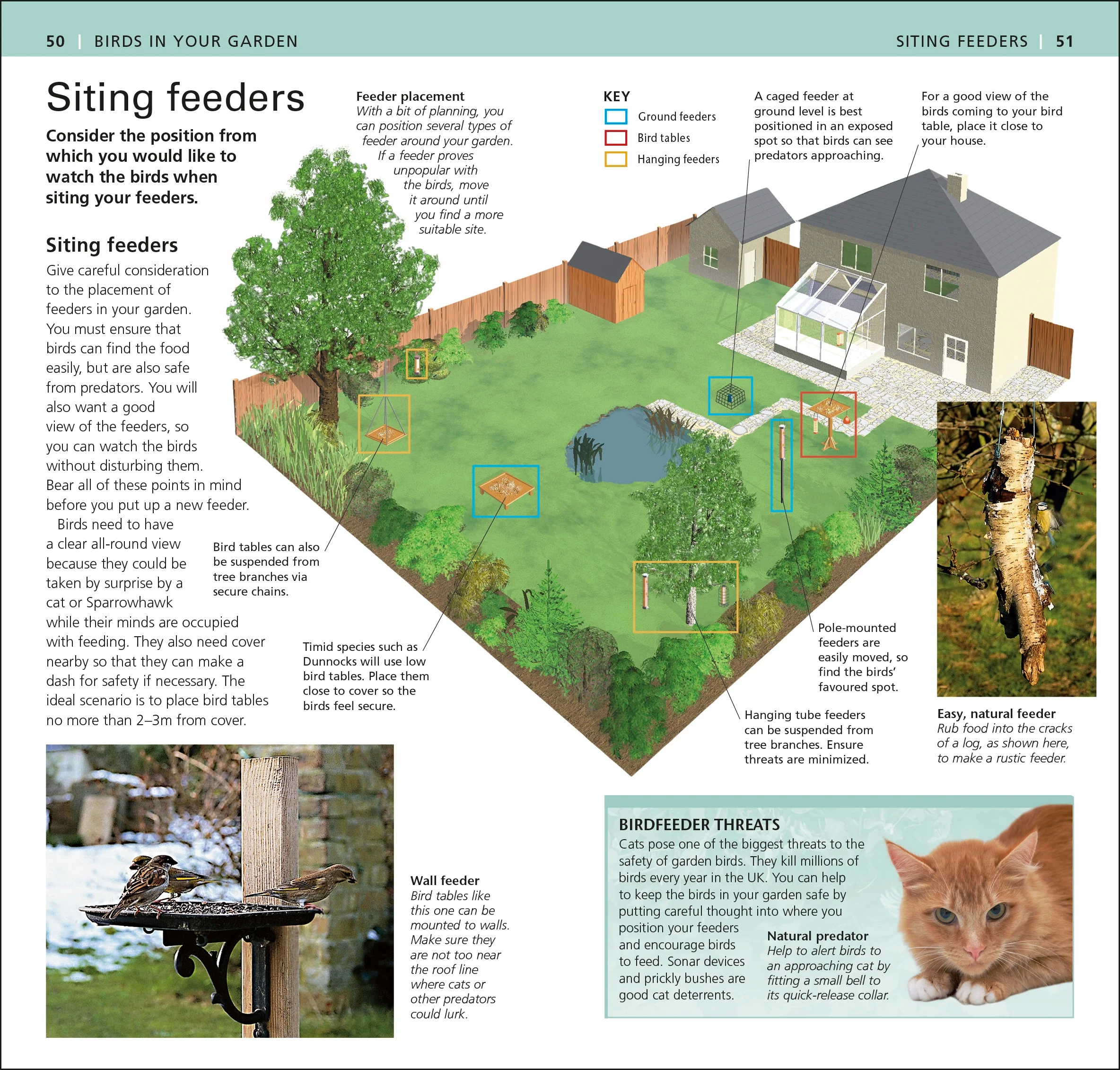 RSPB Pocket Garden Birdwatch - Image 2