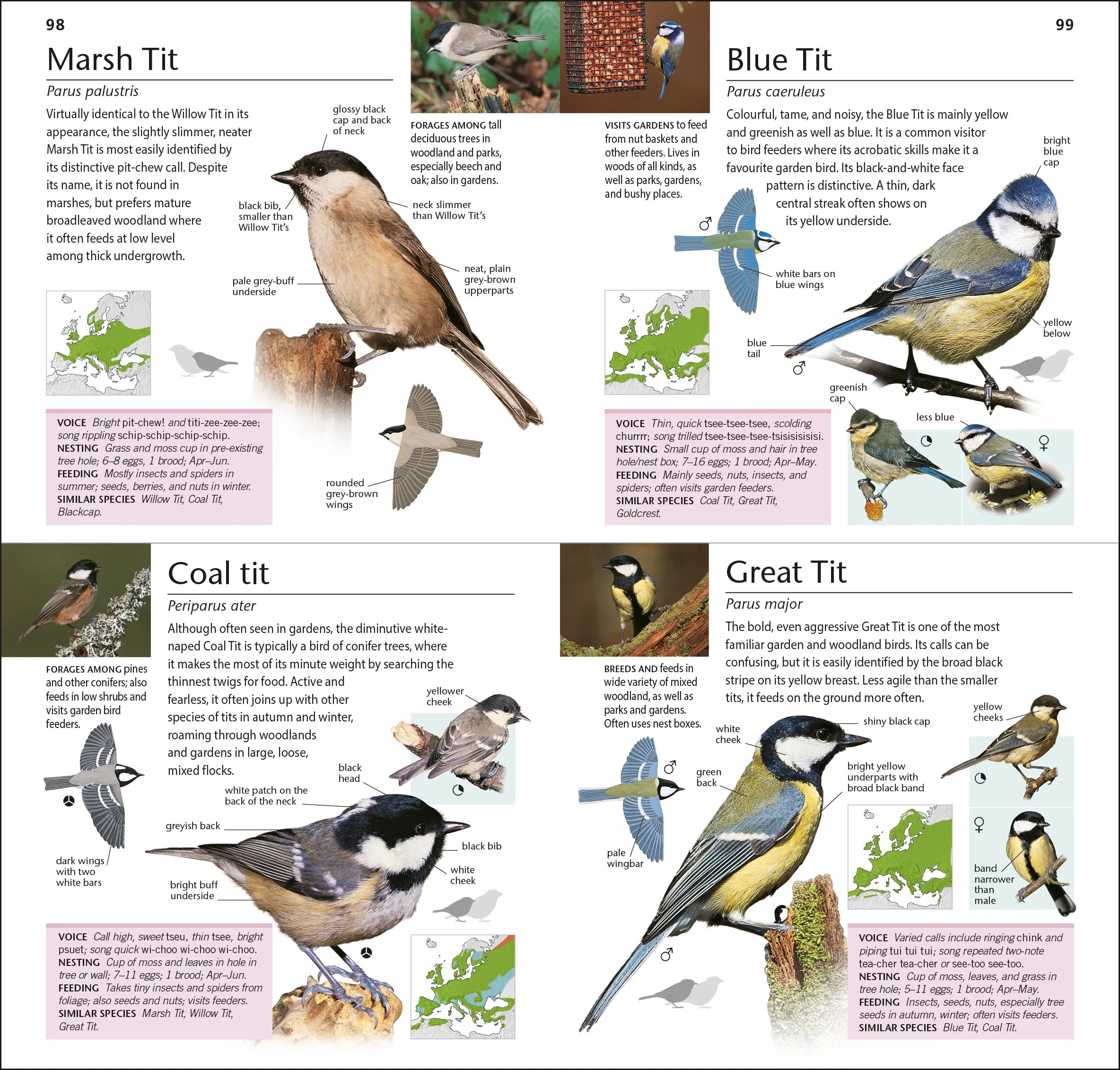RSPB Pocket Garden Birdwatch - Image 4