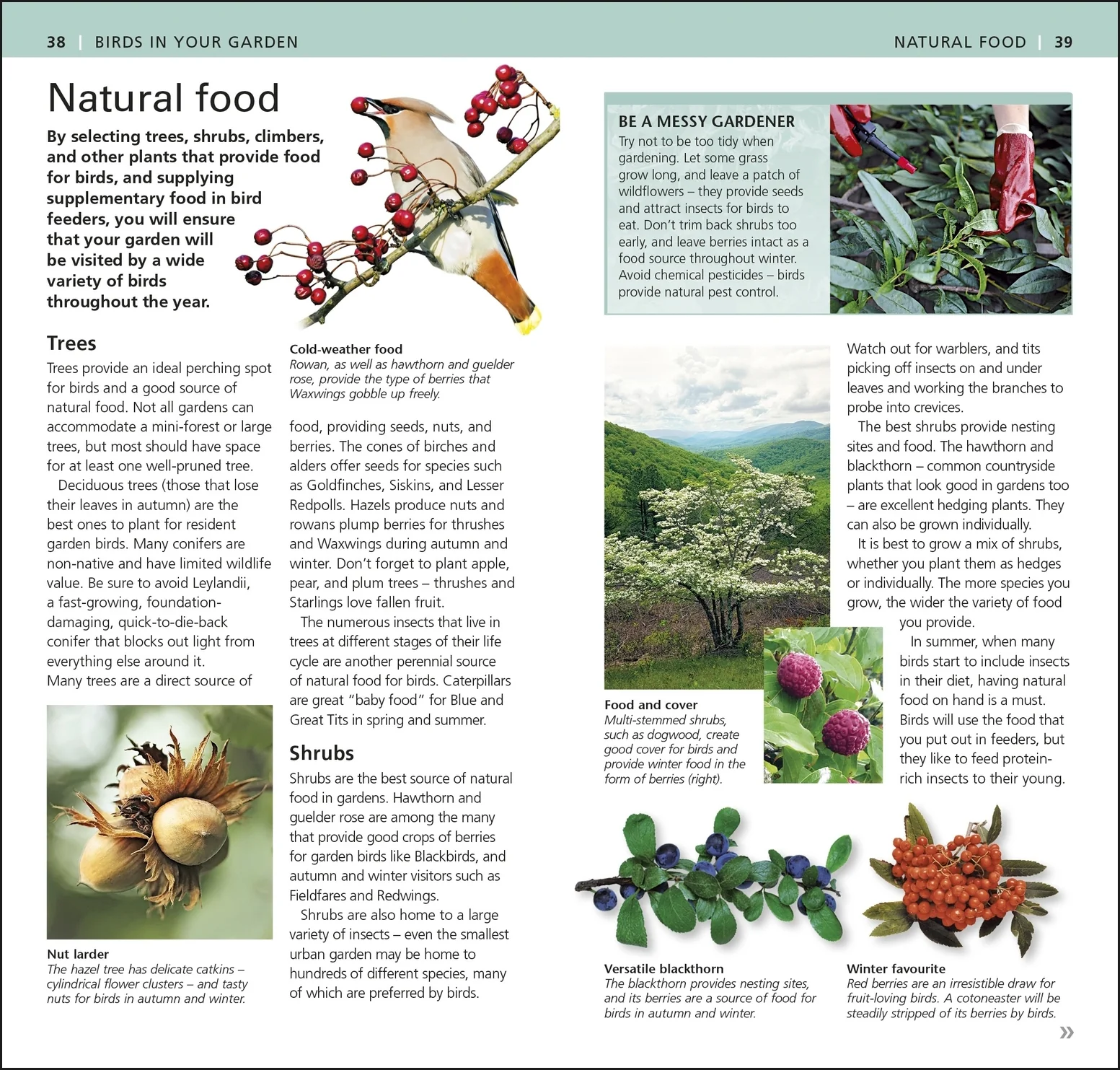 RSPB Pocket Garden Birdwatch - Image 5