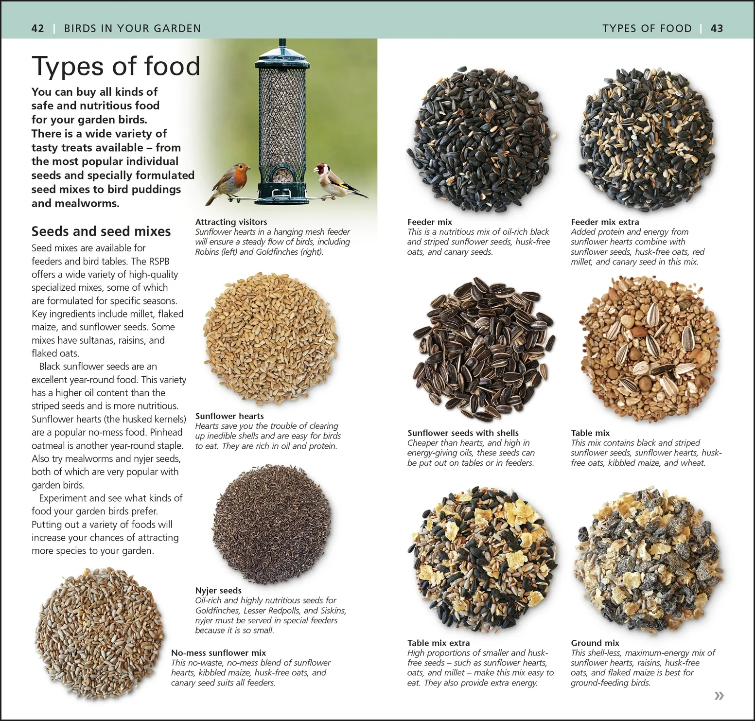 RSPB Pocket Garden Birdwatch - Image 6