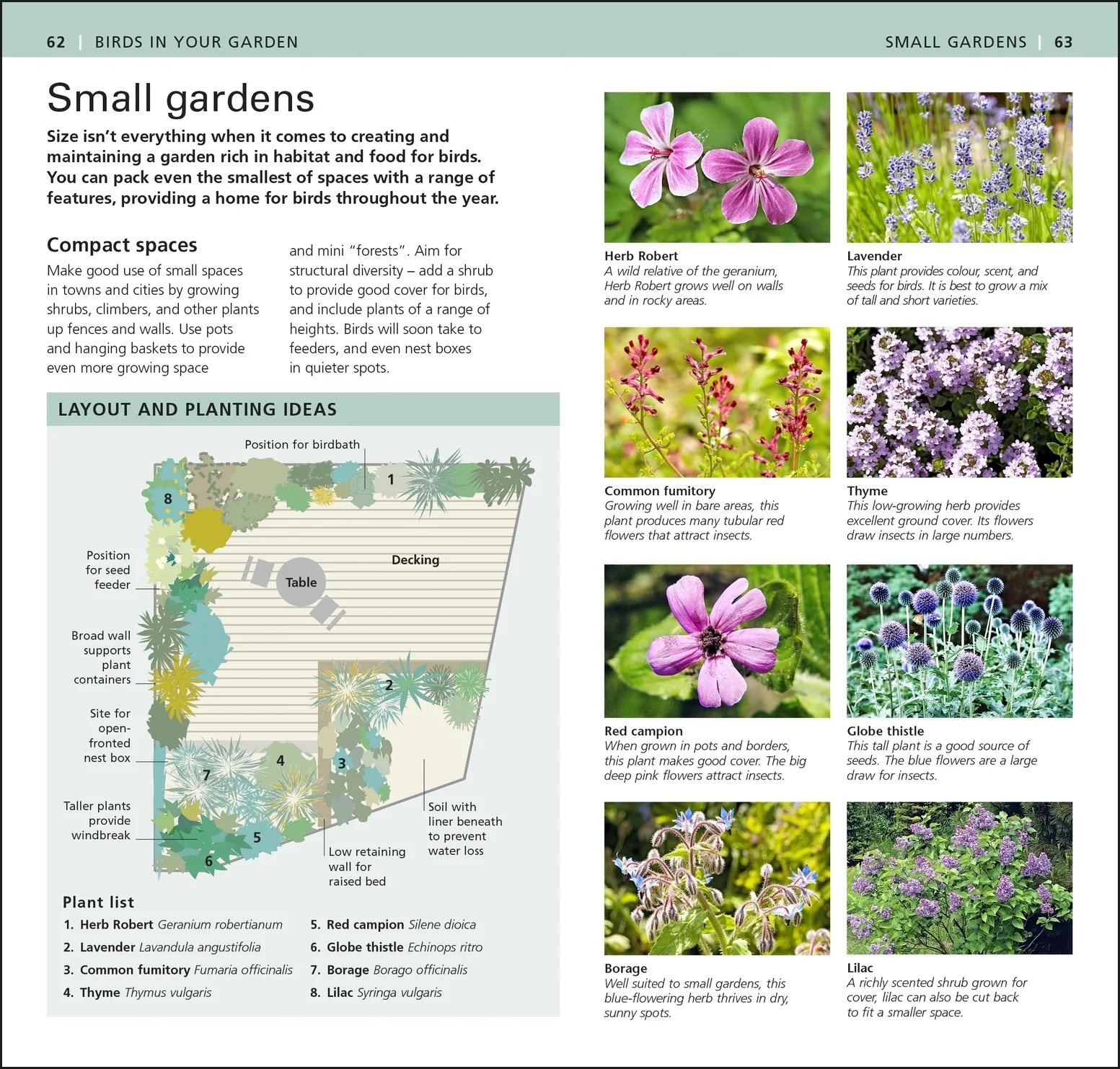 RSPB Pocket Garden Birdwatch - Image 7