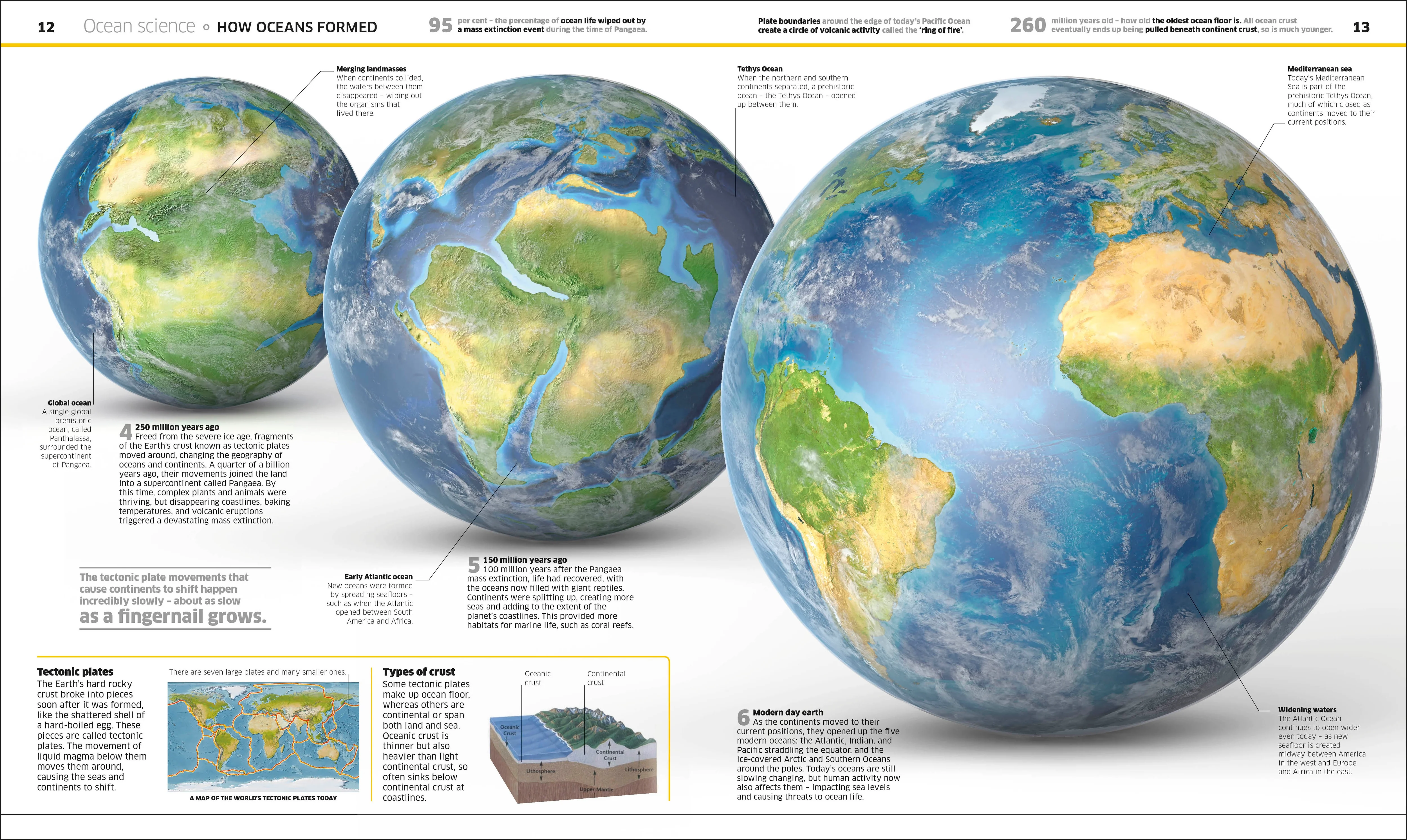 Knowledge Encyclopedia Ocean! - Image 2