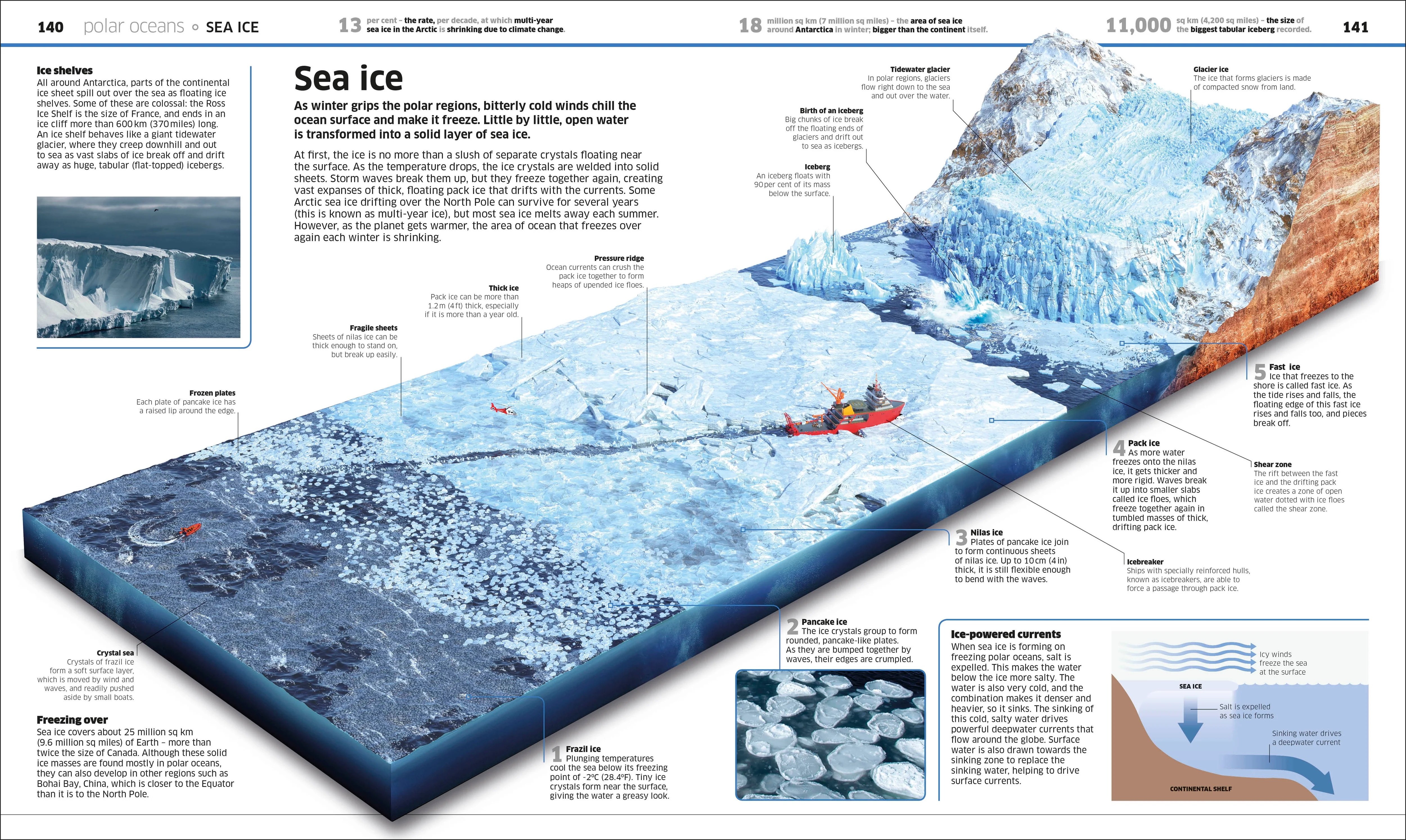 Knowledge Encyclopedia Ocean! - Image 7